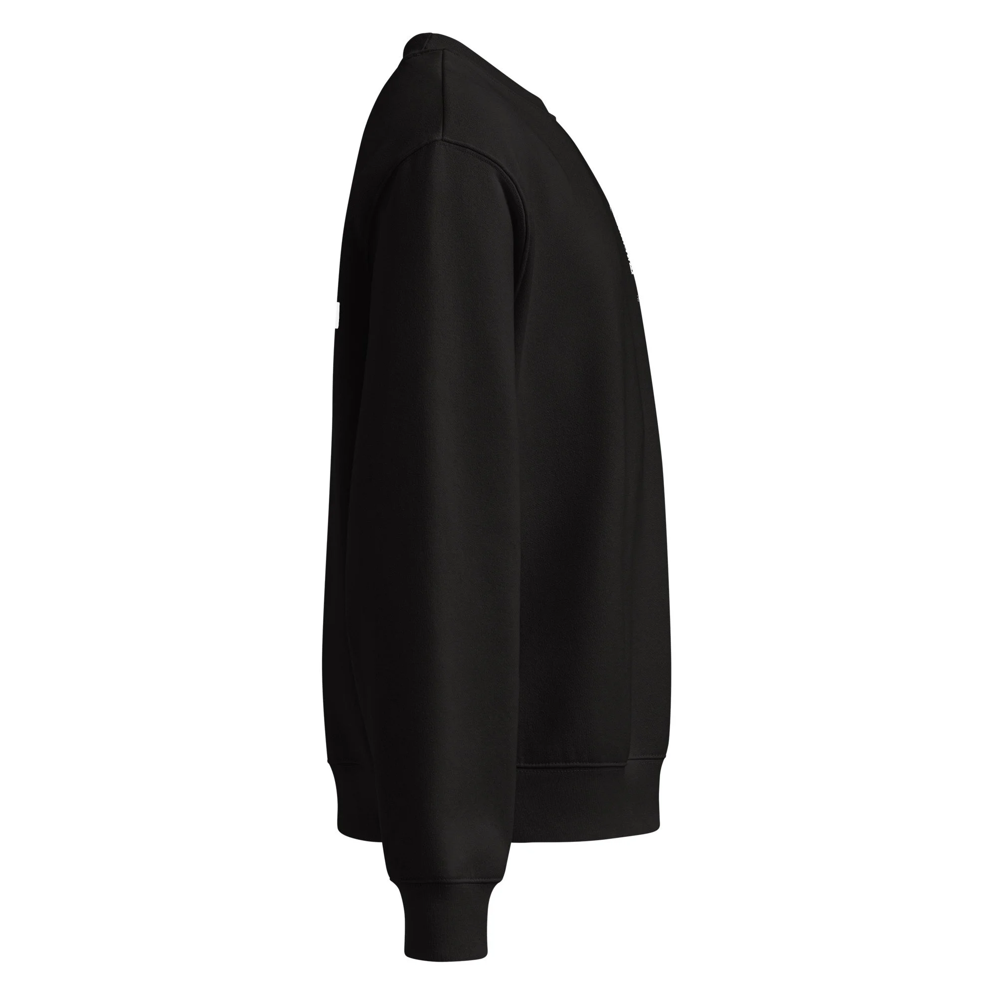 unisex-oversized-heavyweight-sweatshirt-black-right-68b0e04e5b624.jpg
