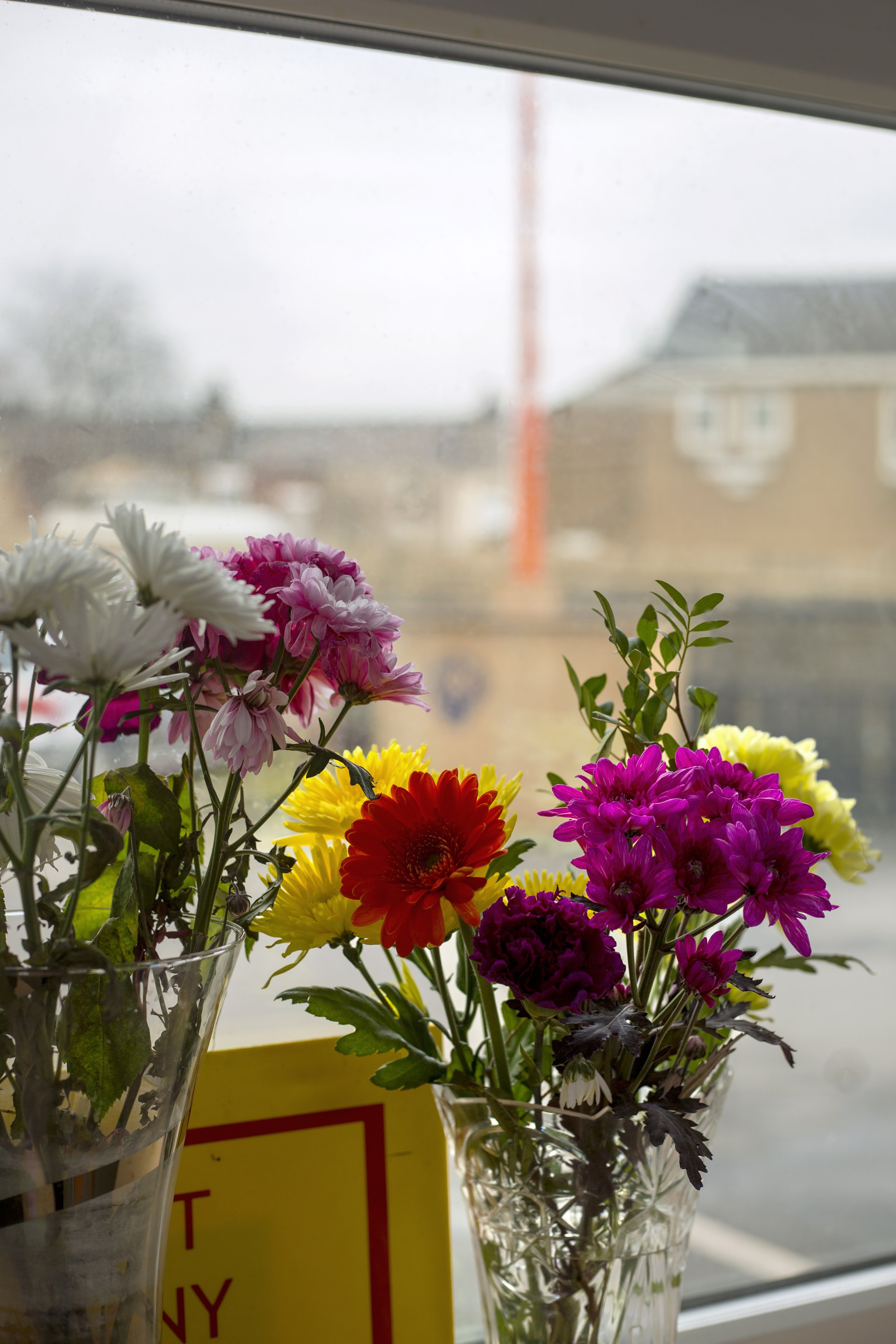 flowersLandscape.jpg