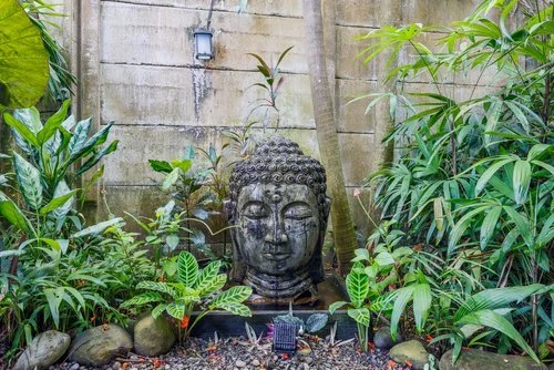 Buddha head sculpture surrounded by lush green plants in a garden.