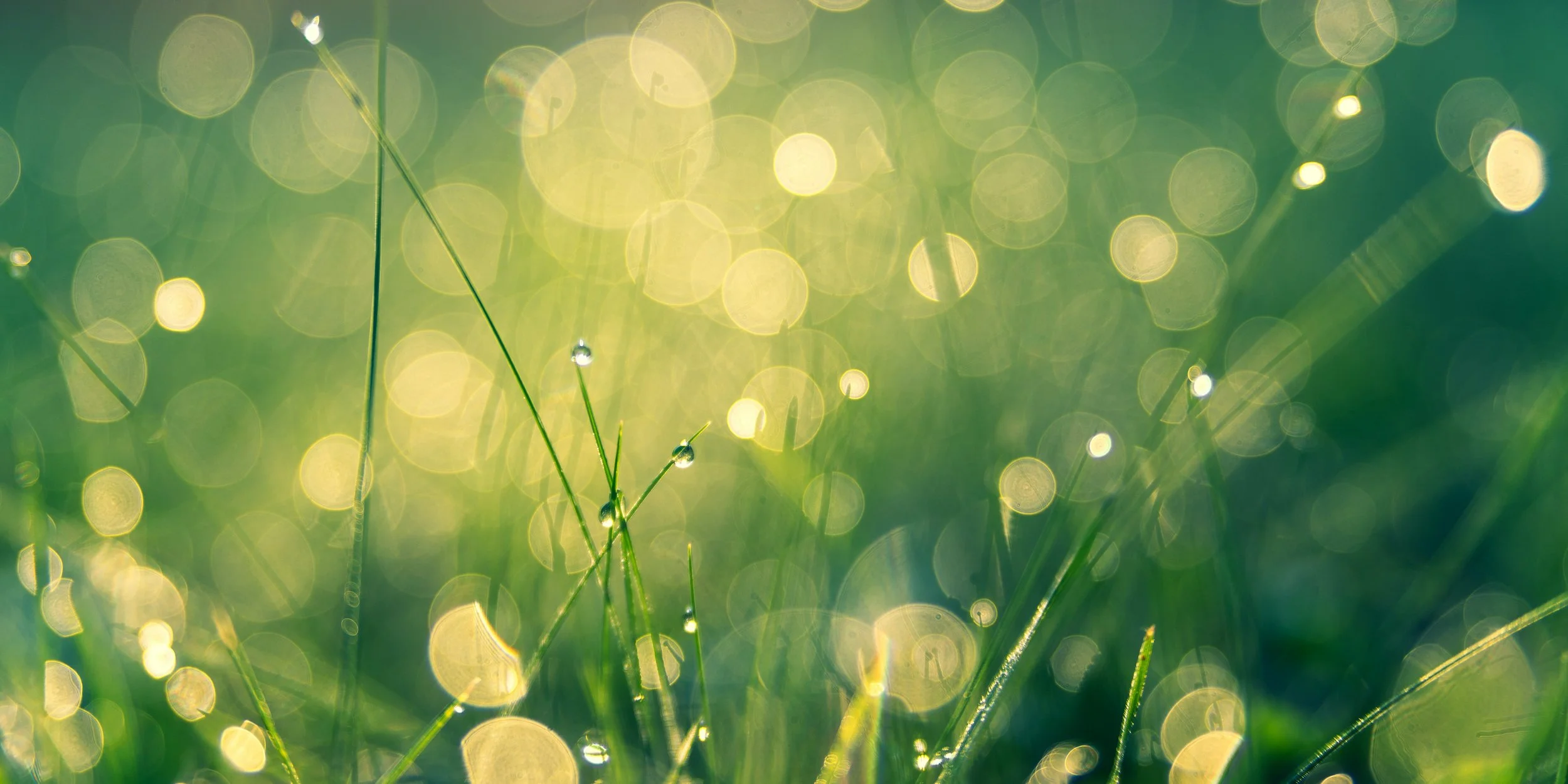 Why DEI belongs outside HR, despite being critical to HR (part 3 of 4)