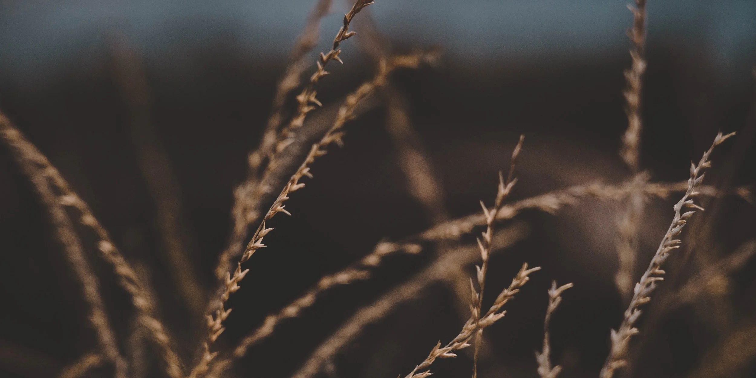 We are not “the help”