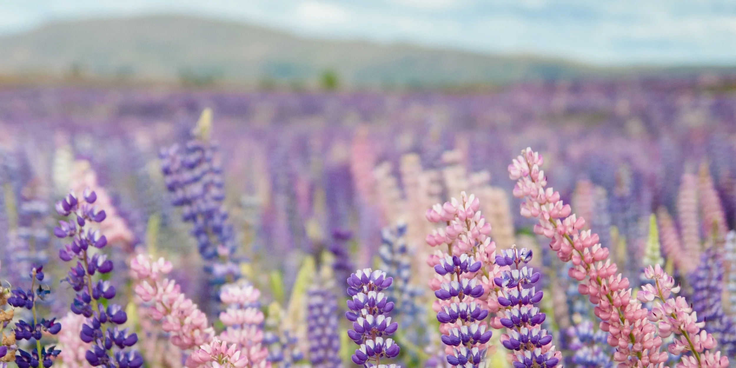 People pleasing should not consistently traumatize the people you are trying to please