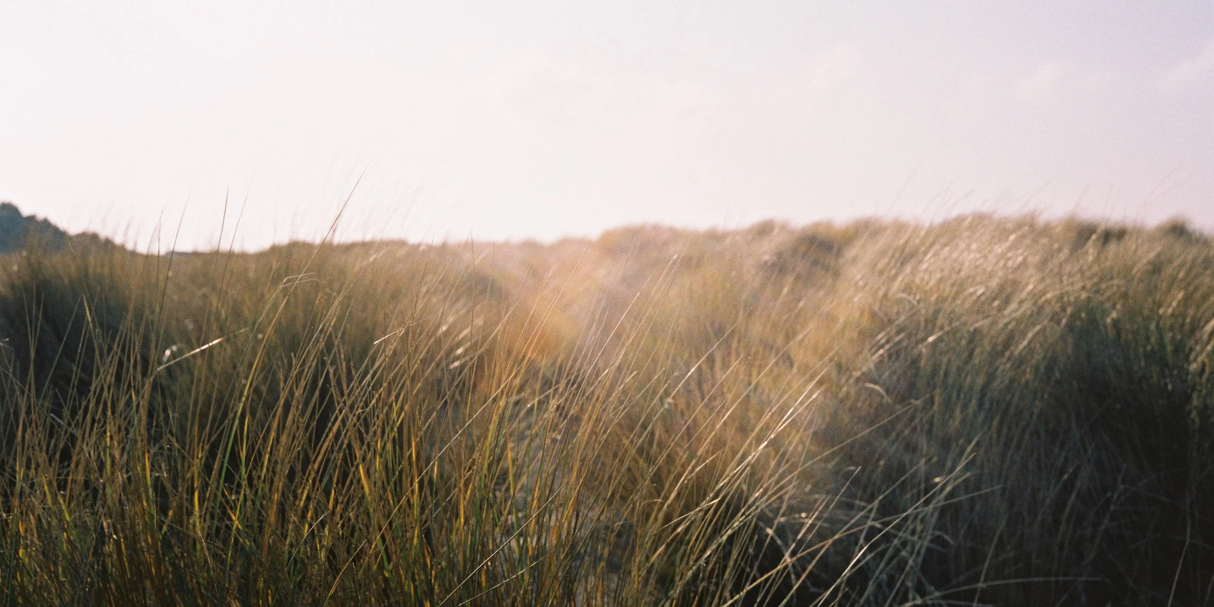 Trauma-Informed Safety Plans: Essential for Personal Well-being