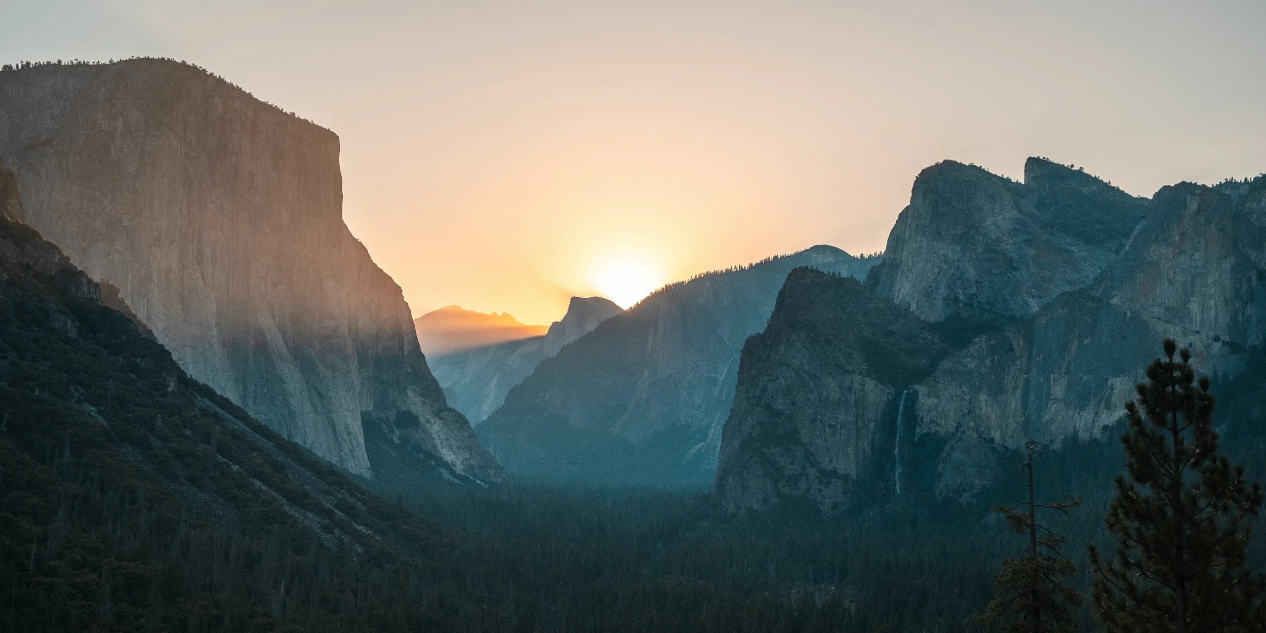 Self-regulation as a critical leadership skill