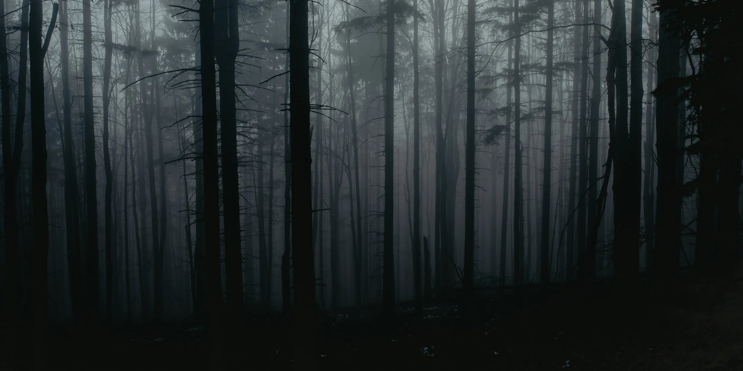 Uncertainty is certain