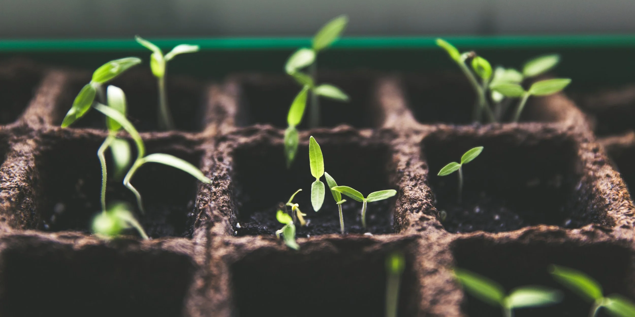 Learning builds trust