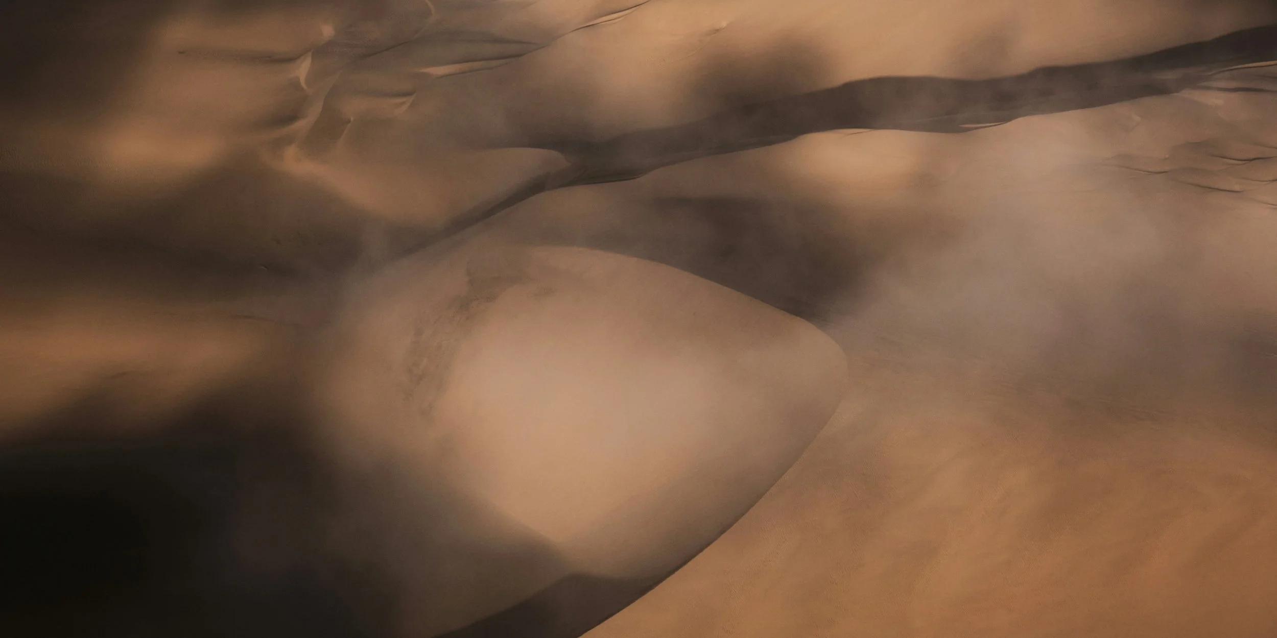 Every memory hurts. Everyone is traumatized.