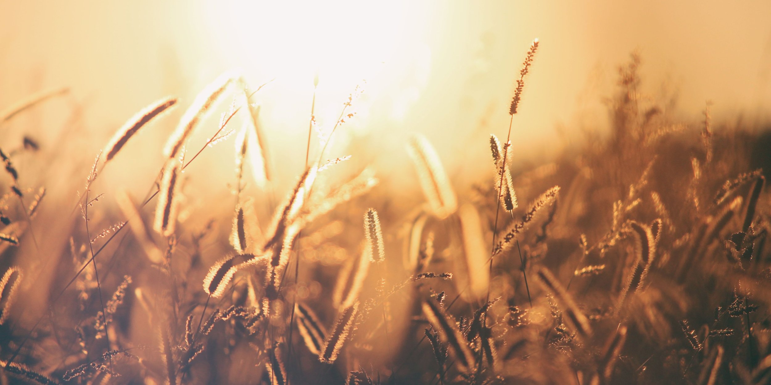 Dreaming beyond what is currently possible