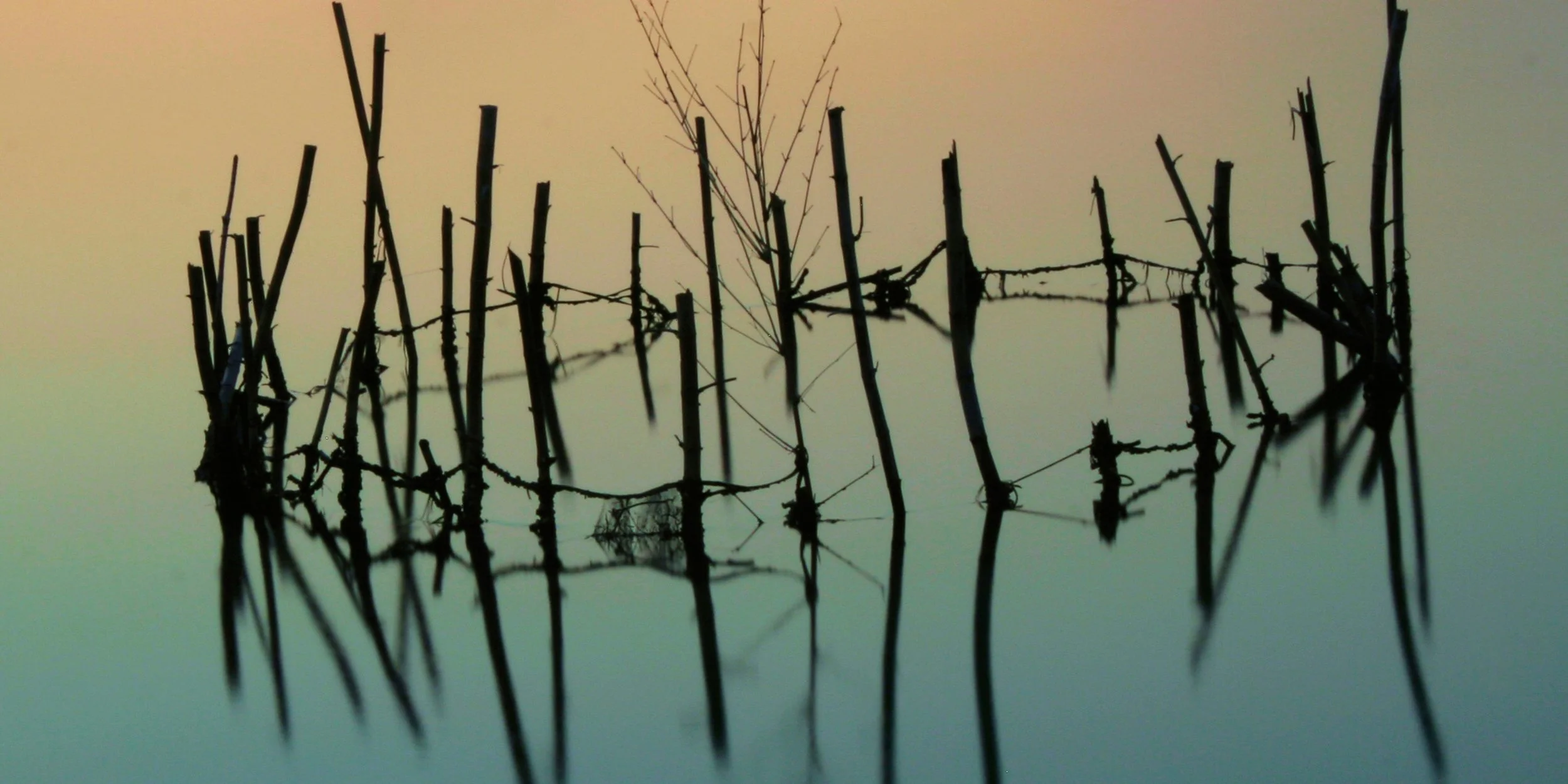 What do we mean by “trauma” and being “trauma-informed” in the workplace?