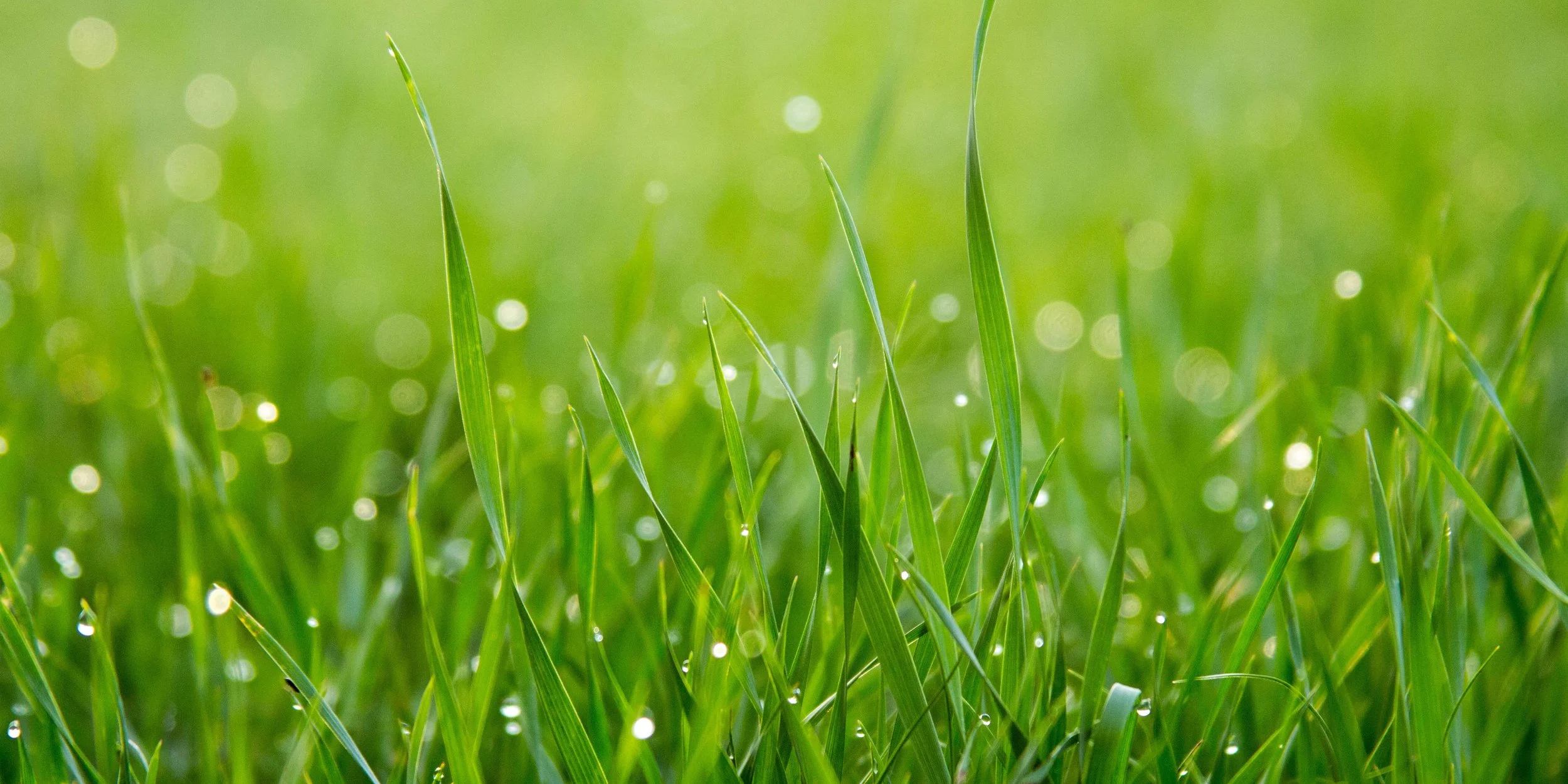 Now is a good time to focus on needs