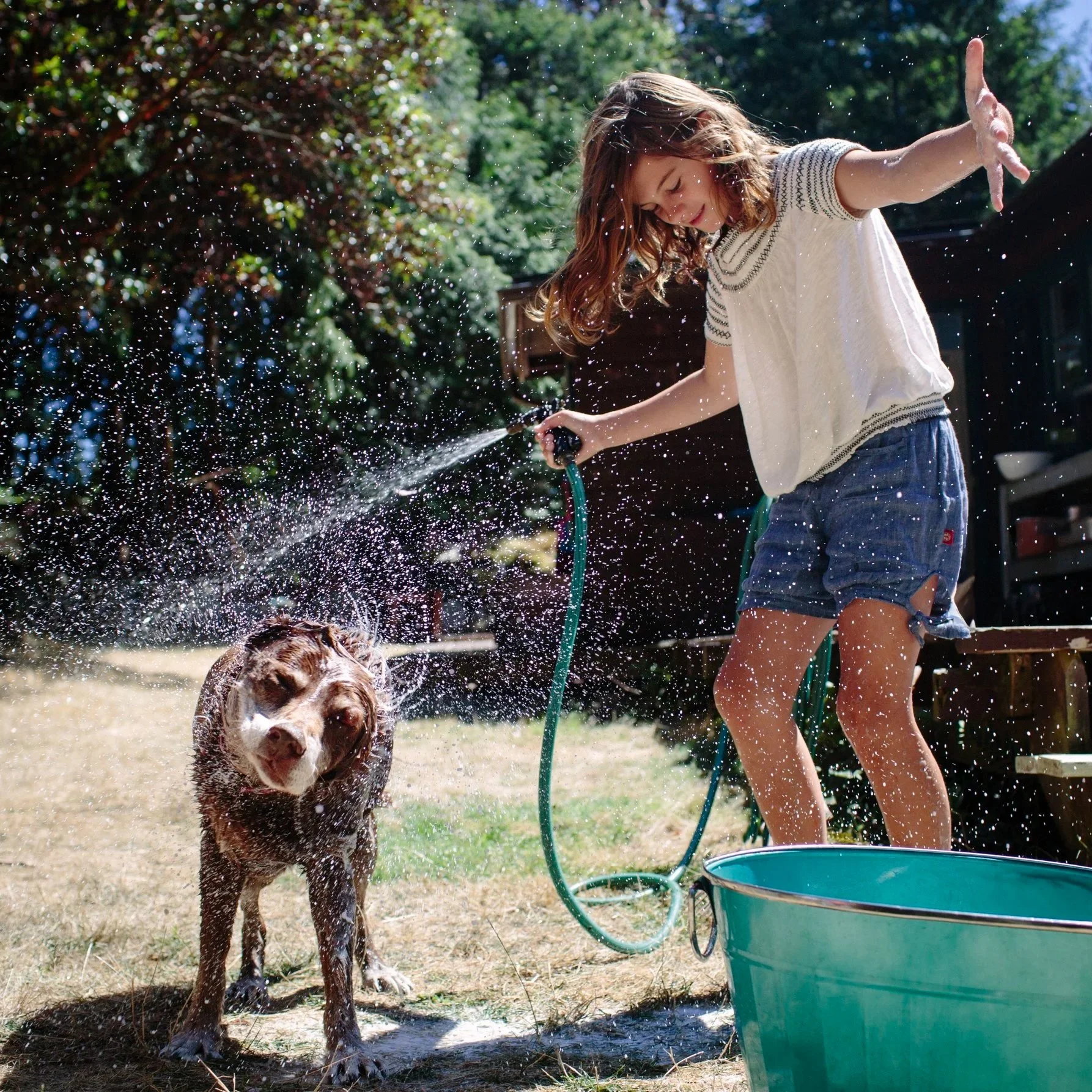 A young girl with long brown hair wearing a white shirt and blue shorts enjoys playing with water outdoors, using a garden hose to spray a wet dog, which is standing in a splash of water. The scene is set in a sunny backyard with trees and a house in