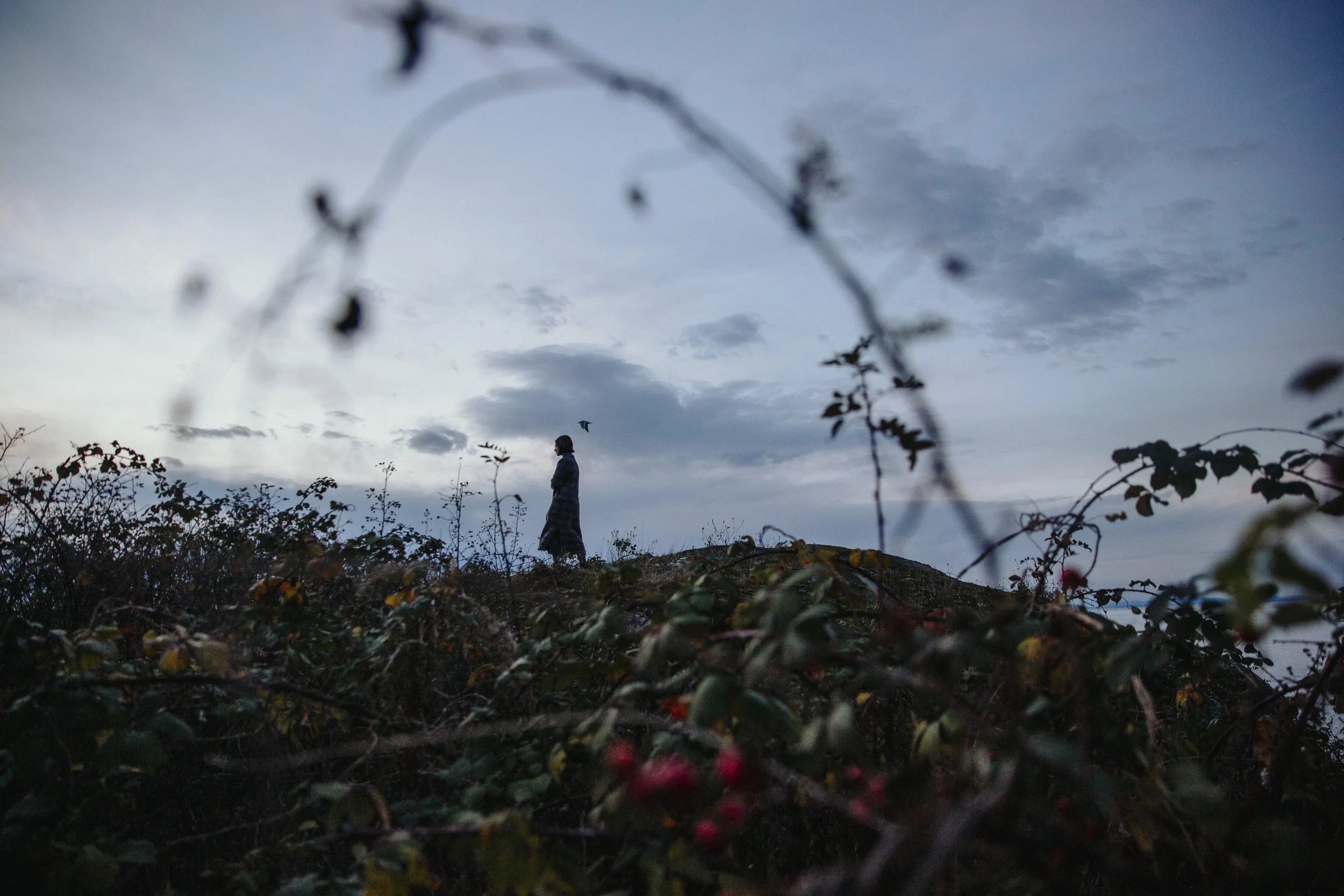 A person standing on a hilltop with bushes and plants in the foreground, under a cloudy sky at dusk or dawn.