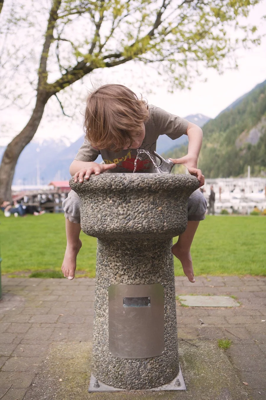 A boy with brown hair, wearing a gray t-shirt, is climbing atop a textured stone drinking fountain outdoors, with a grassy area, a tree, mountains, and boats in the background.