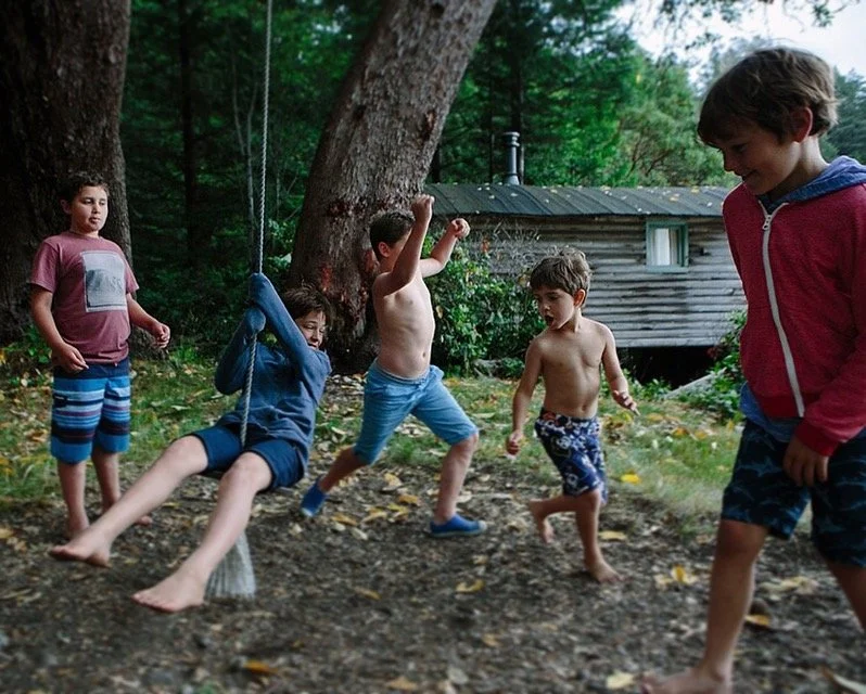 Children playing outdoors near a tree and a small wooden cabin, some children are on a swing, others are running, with greenery and fallen leaves around.