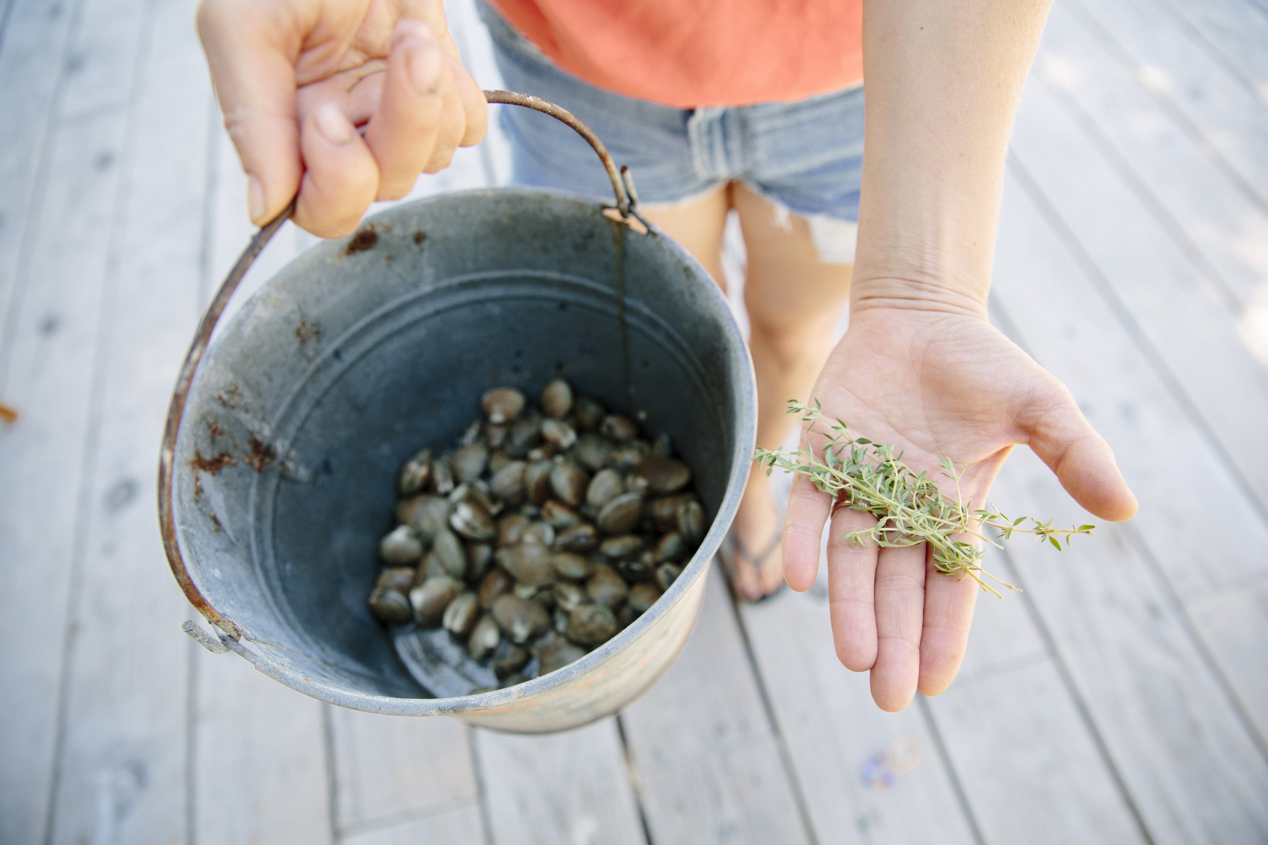 A person holding a small bunch of herbs in one hand and a rusty bucket filled with shells in the other, standing on a weathered wooden deck.