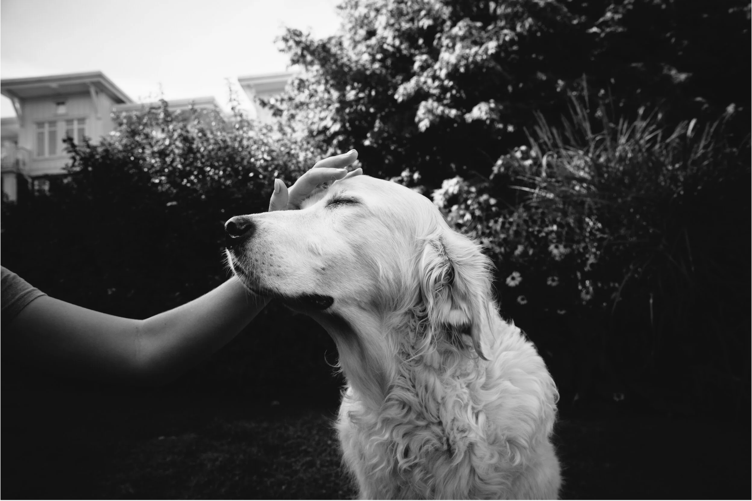 Screenshot 2026-03-13 at 2.05.21 PM.png