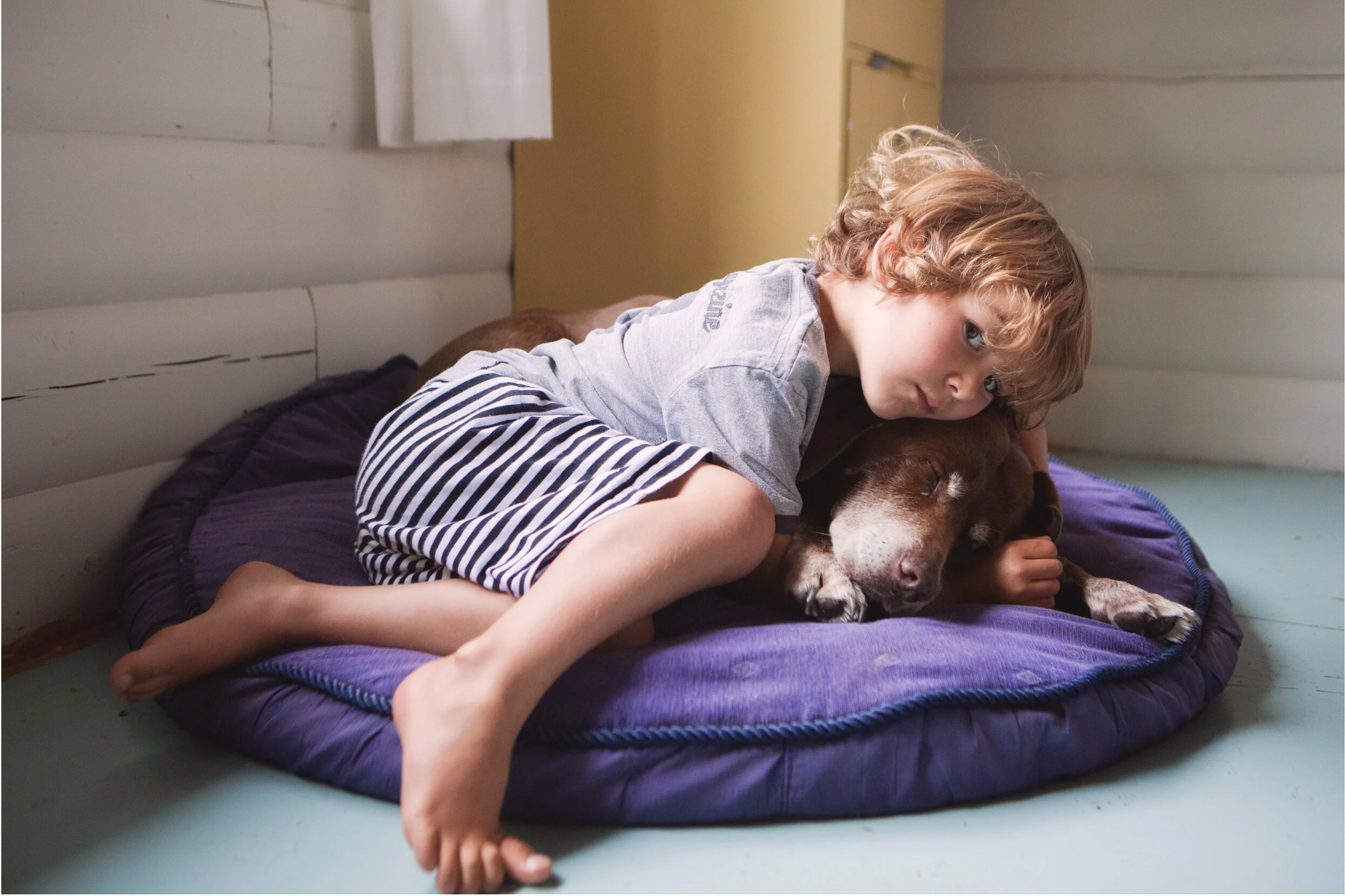 A young boy with curly blonde hair lying on a purple dog bed, hugging a brown dog that is sleeping. The boy is looking at the camera and the scene appears to be inside a wooden house or cabin.