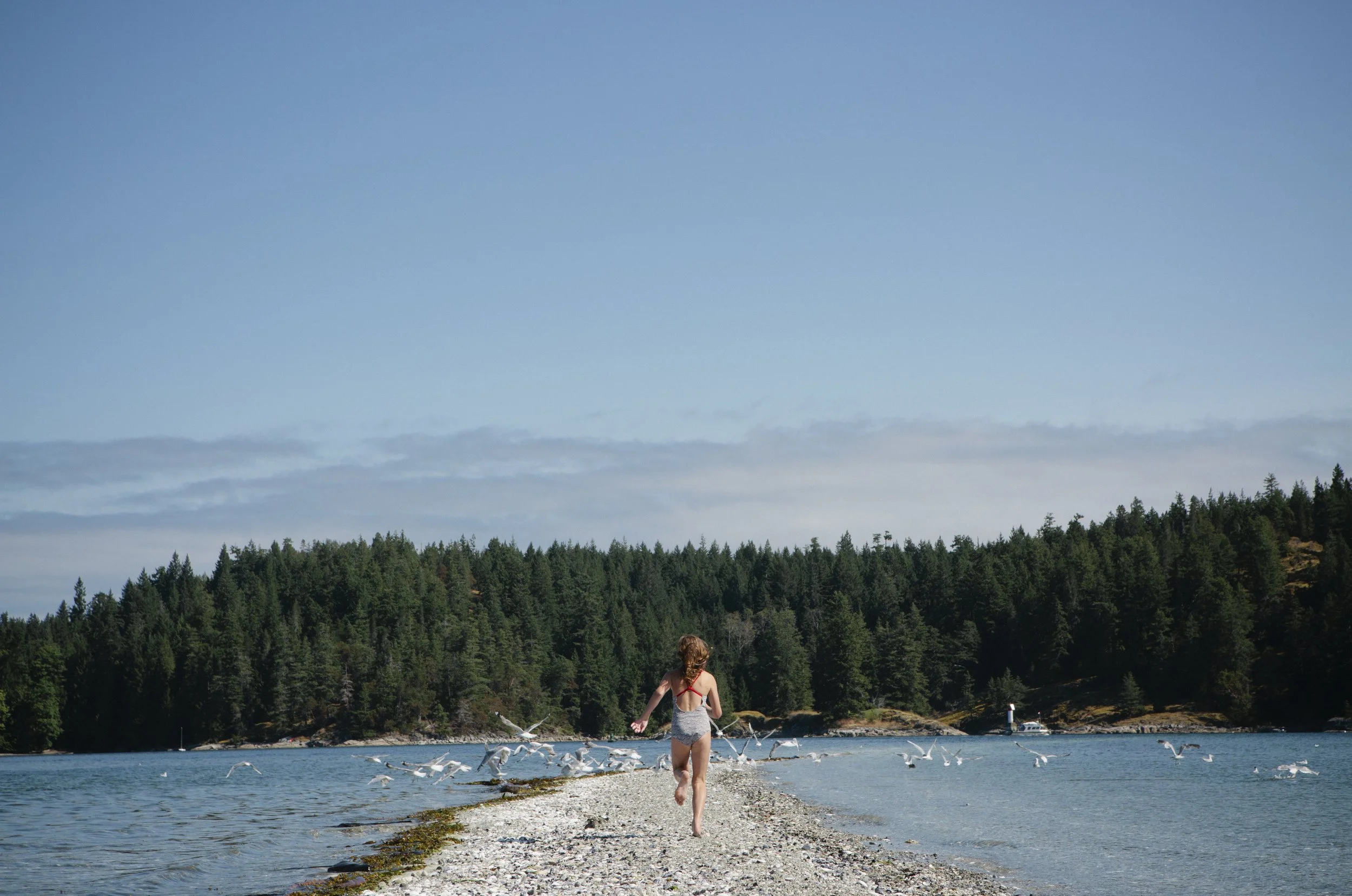 A woman in a swimsuit walking along a rocky shoreline with seagulls near a body of water, with a forested hillside and blue sky in the background.