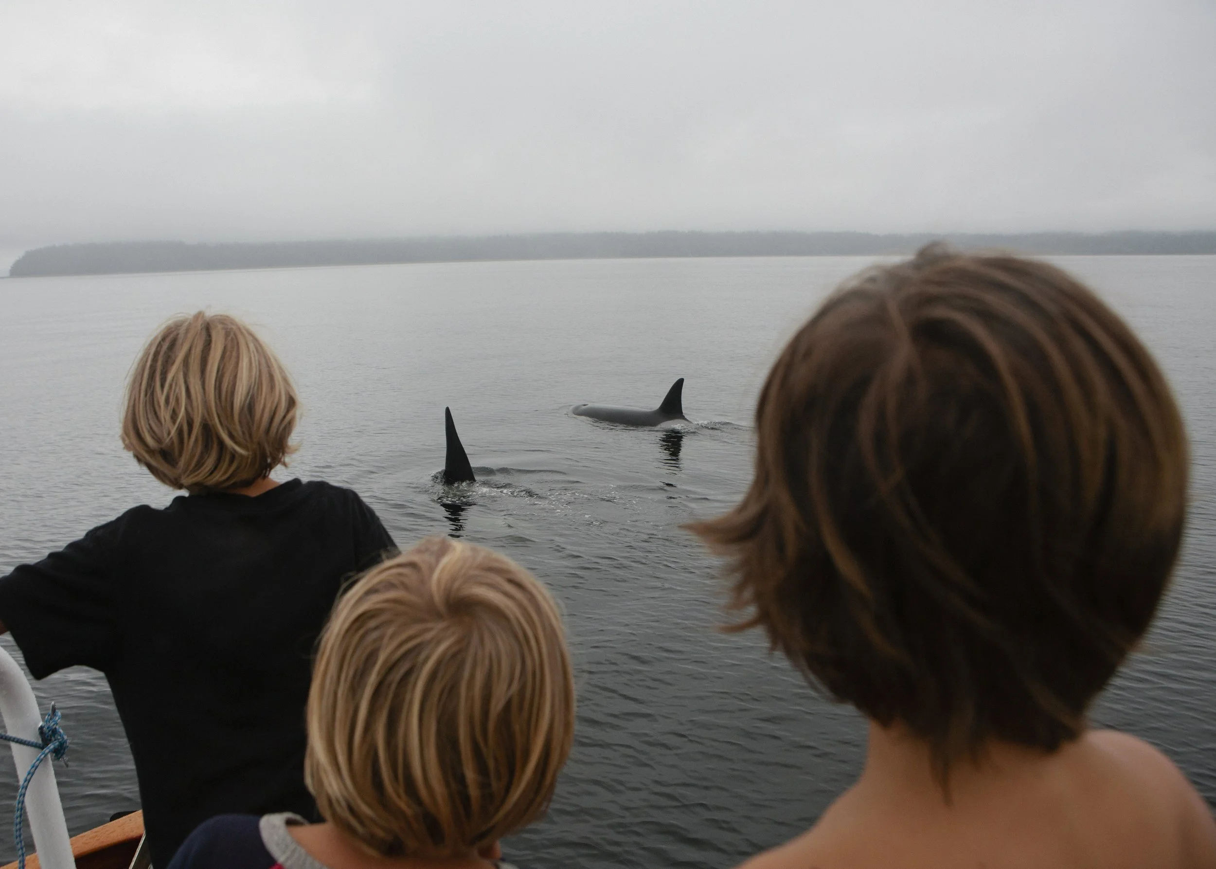 Children on a boat watching a whale with dorsal fins and tail above the water.