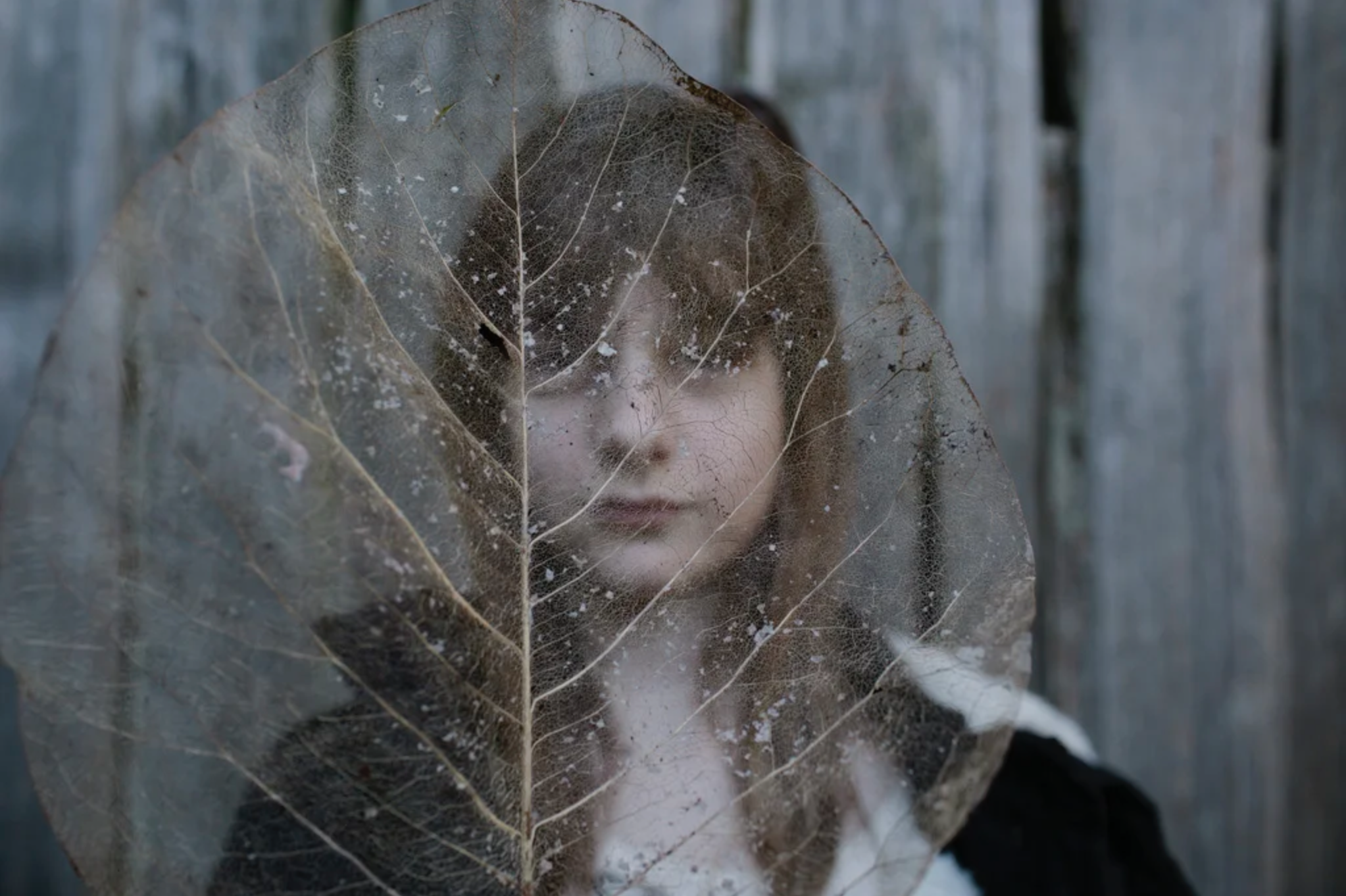 Screenshot 2026-03-13 at 3.21.53 PM.png