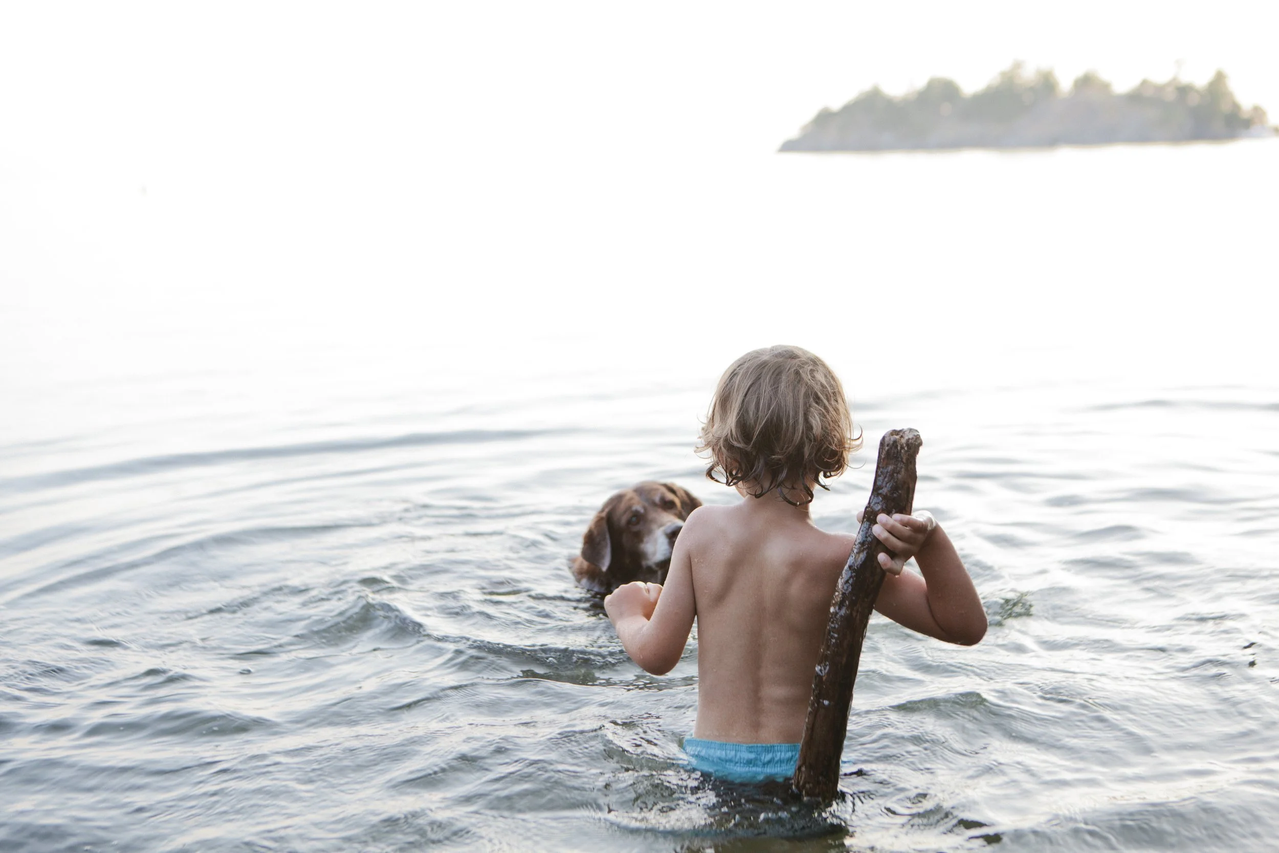 Child swimming in a lake or ocean with a dog nearby, holding a stick, in a natural outdoor setting with a distant island in the background.