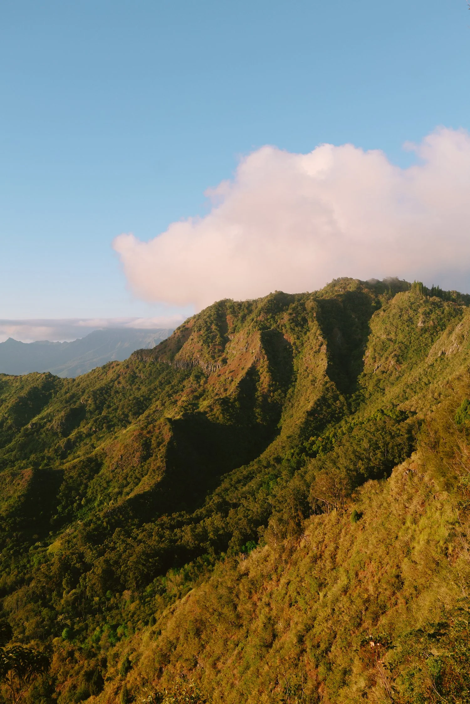 Pālehua Conservation Initiative Event Gift Card
