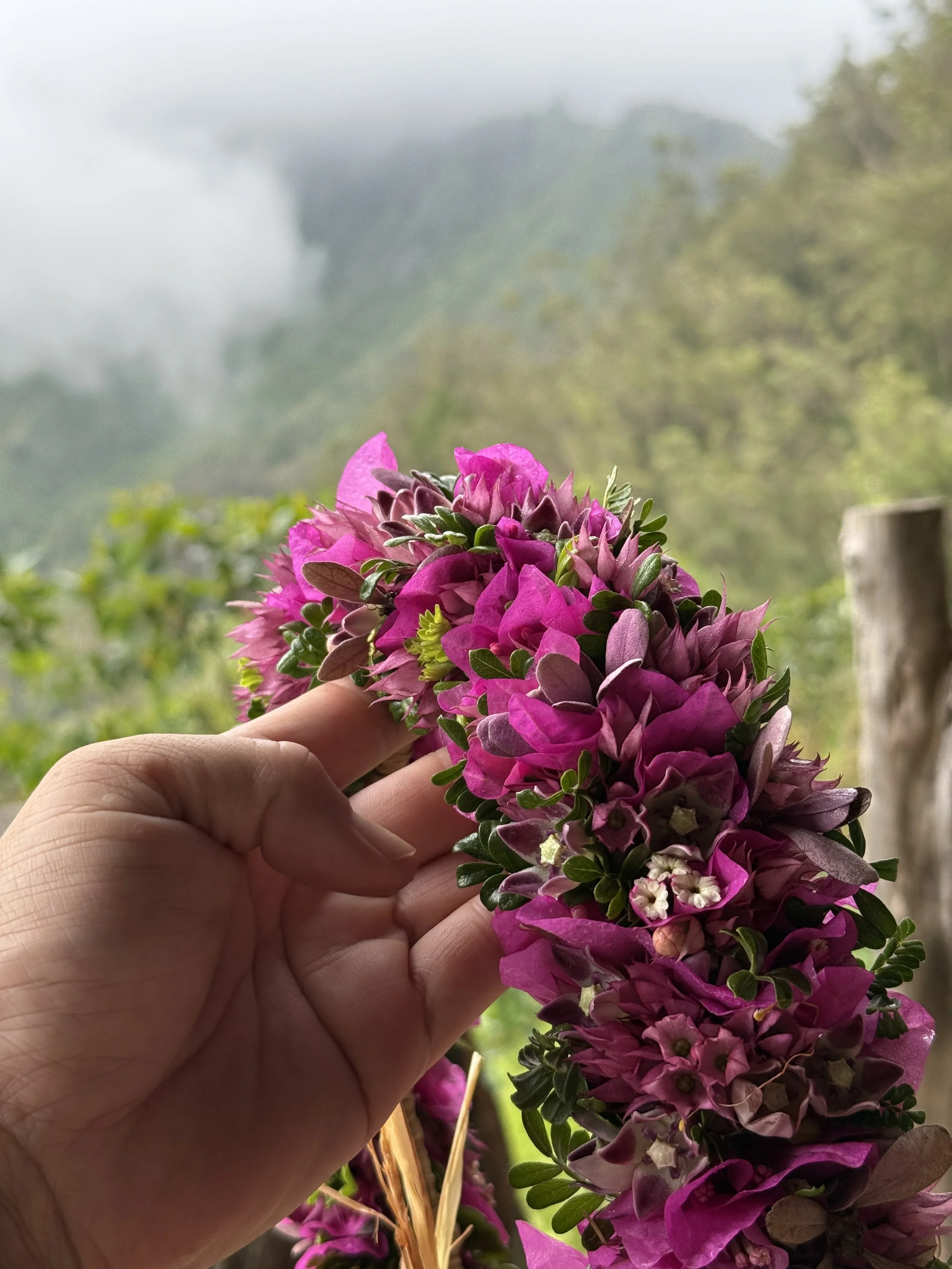Lei Poʻo with Island-Boy & Pua Hana at Ossipoff Cabin - June 21