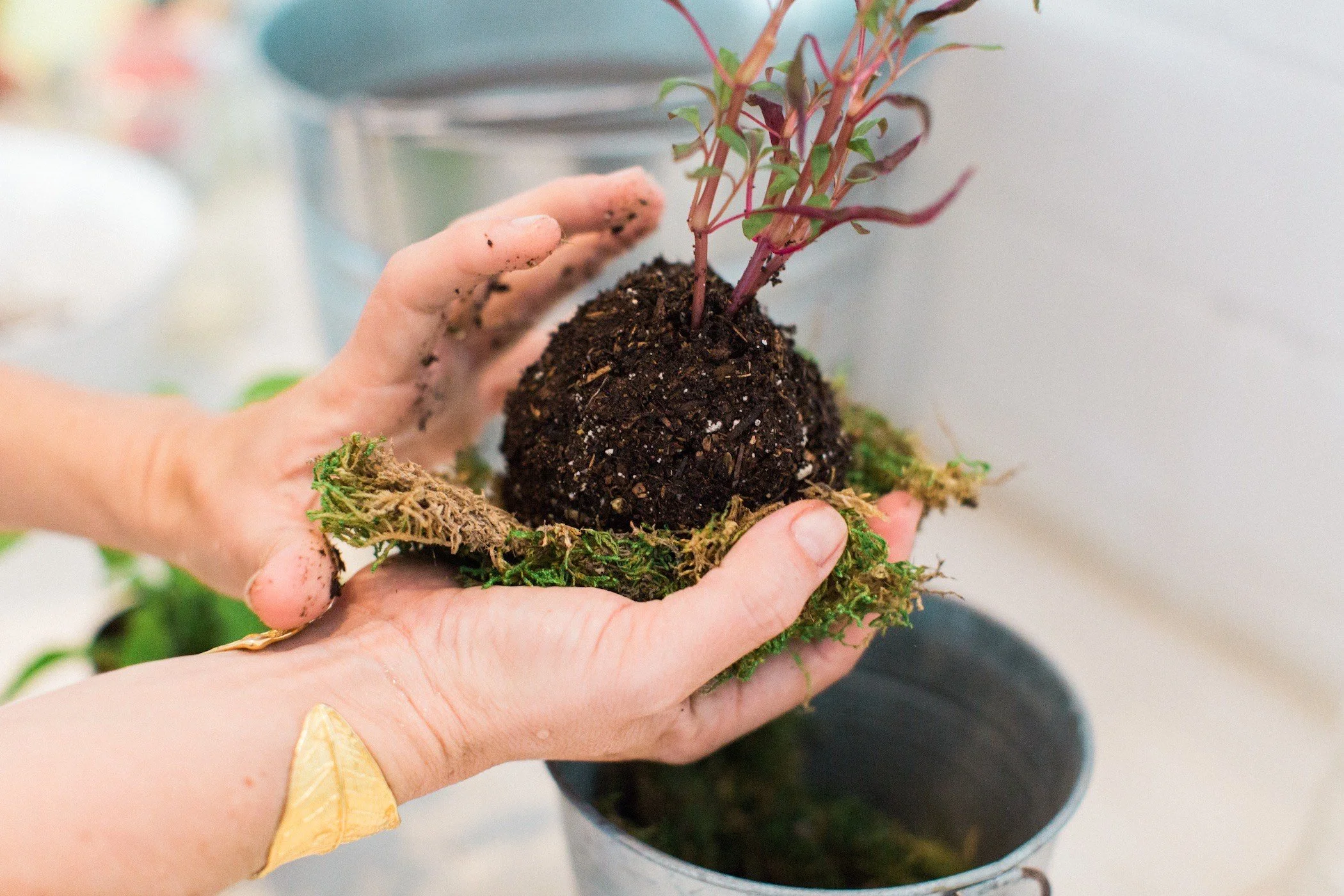 Kokedama Workshop at Ossipoff Cabin - June 22