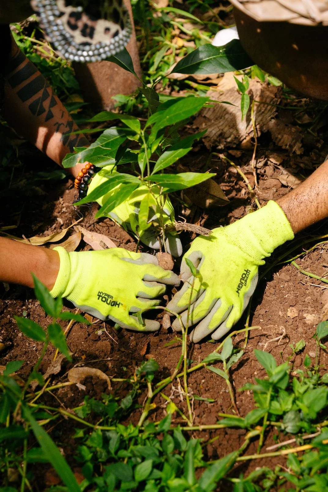 Community Work Day: Mei (May 31)