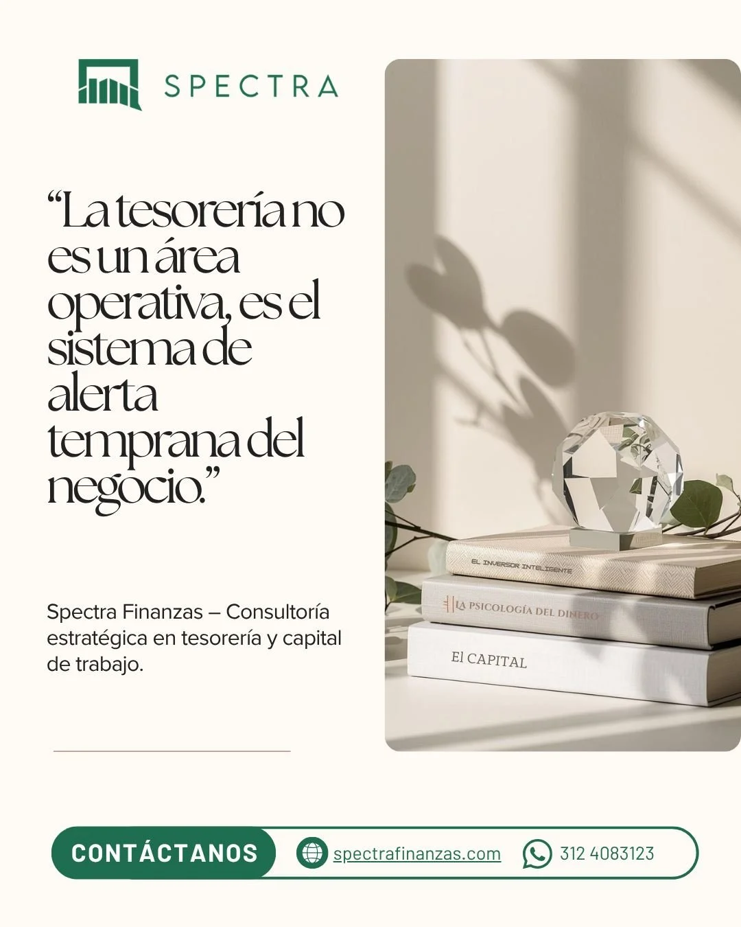 Las empresas que operan con estabilidad no improvisan ante las crisis financieras. Las anticipan.
Una tesorer&iacute;a estrat&eacute;gica es la diferencia entre reaccionar y prevenir &mdash; entre perder liquidez y protegerla.
En Spectra acompa&ntild