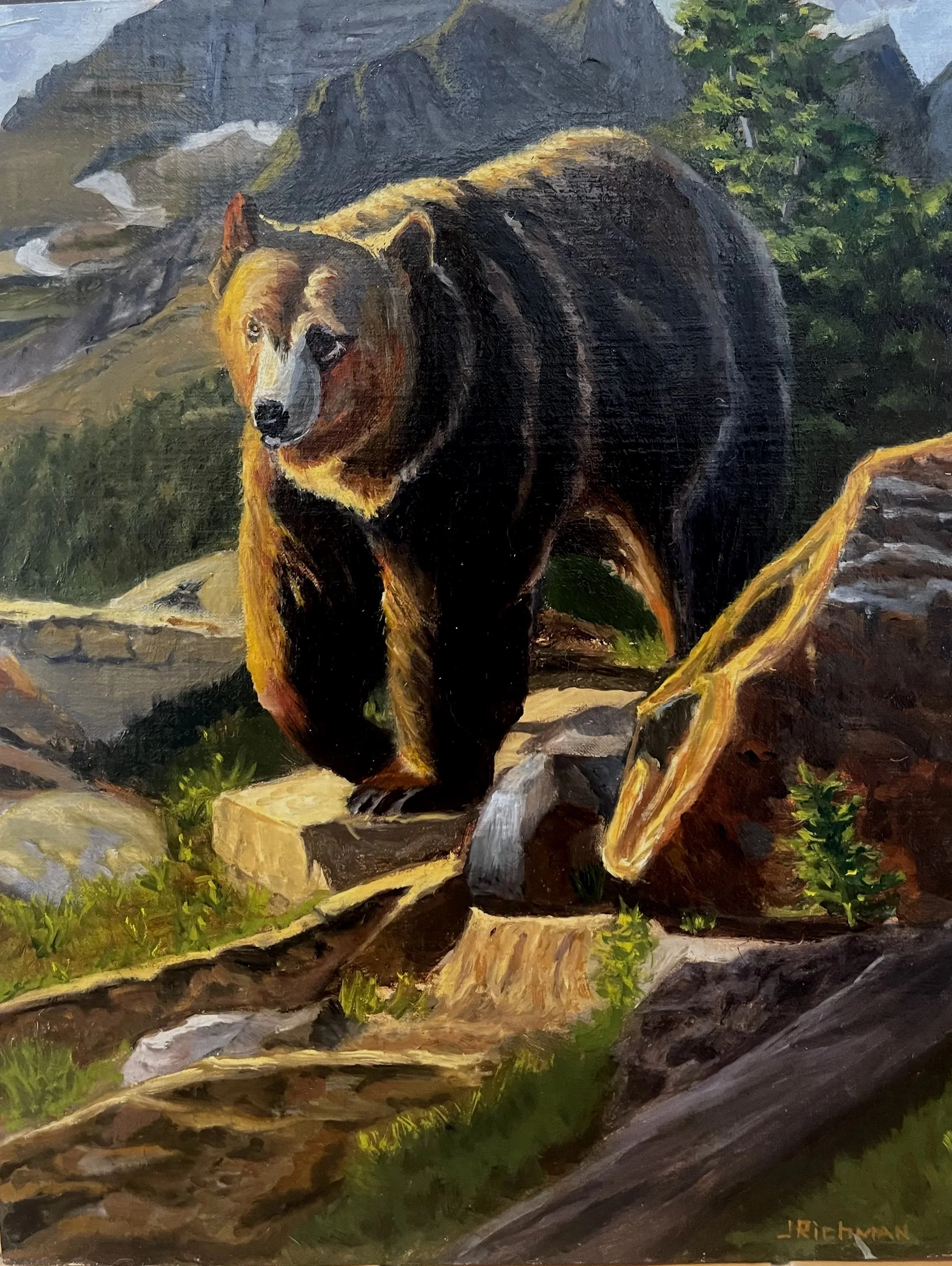 “Exit Park Left, Bear in Pursuit”. This 11 by 14 inch oil painting portrays a Grizzly Bear in Glacier National Park.  The bear was captured on a photograph that was taken and composed by Dustin Van Wechel, one of our nation’s finest  American wildlif