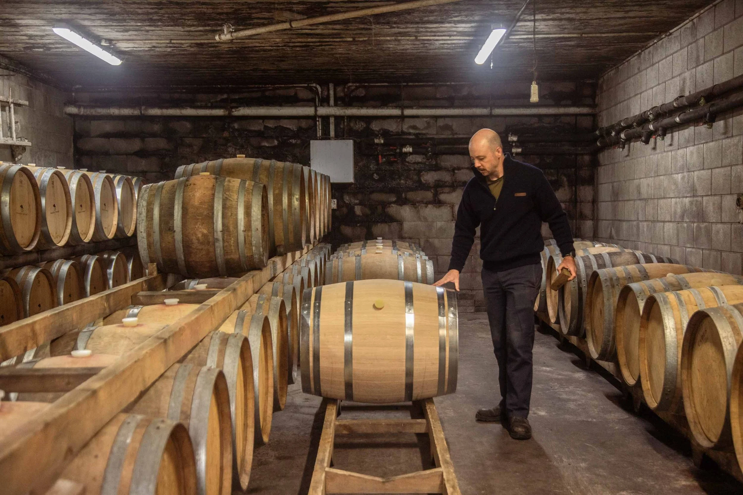 Winemaker rolling wine barrel into storage rack