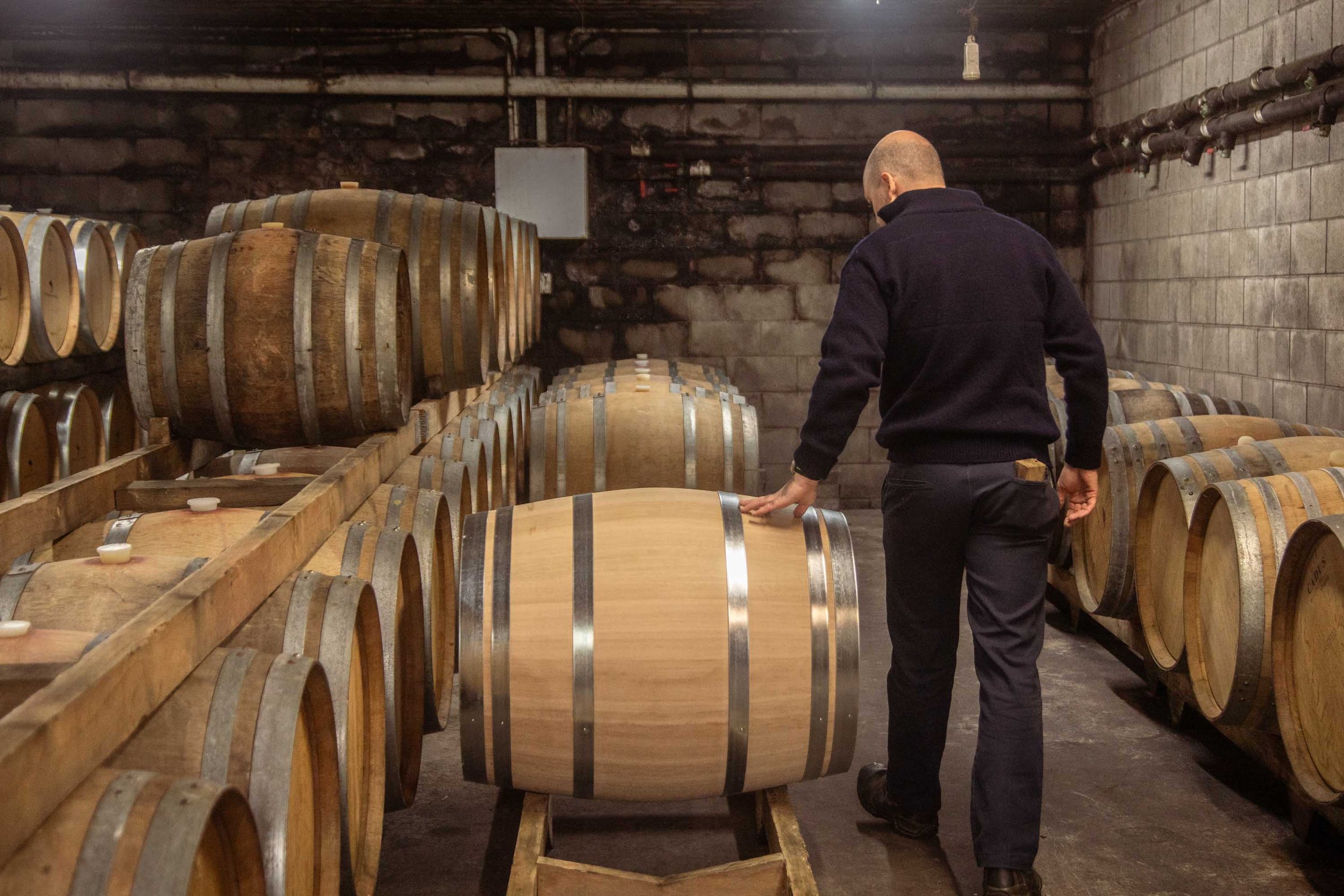 Winemaker racking wine barrel