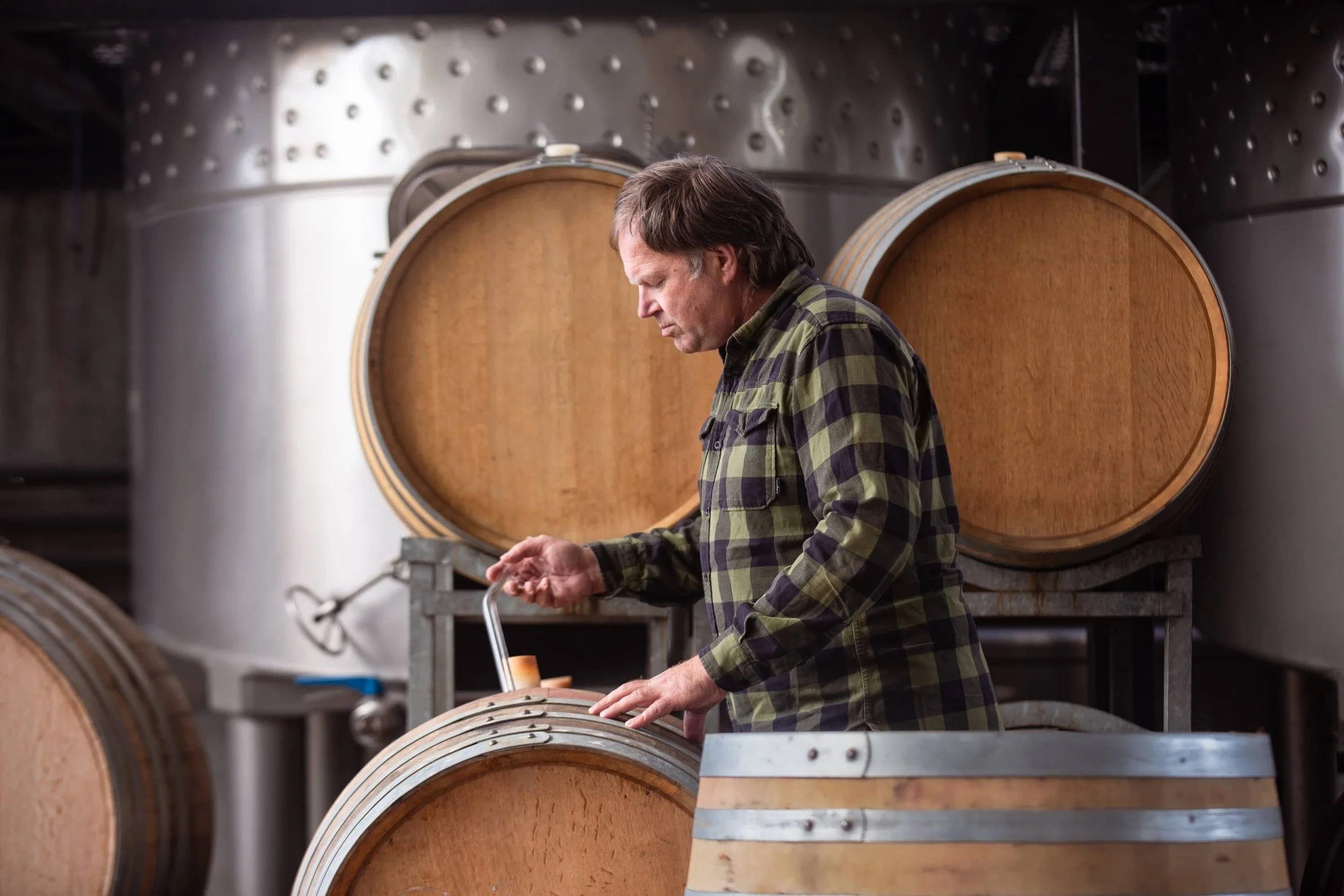 Winemaker tests wine in barrel