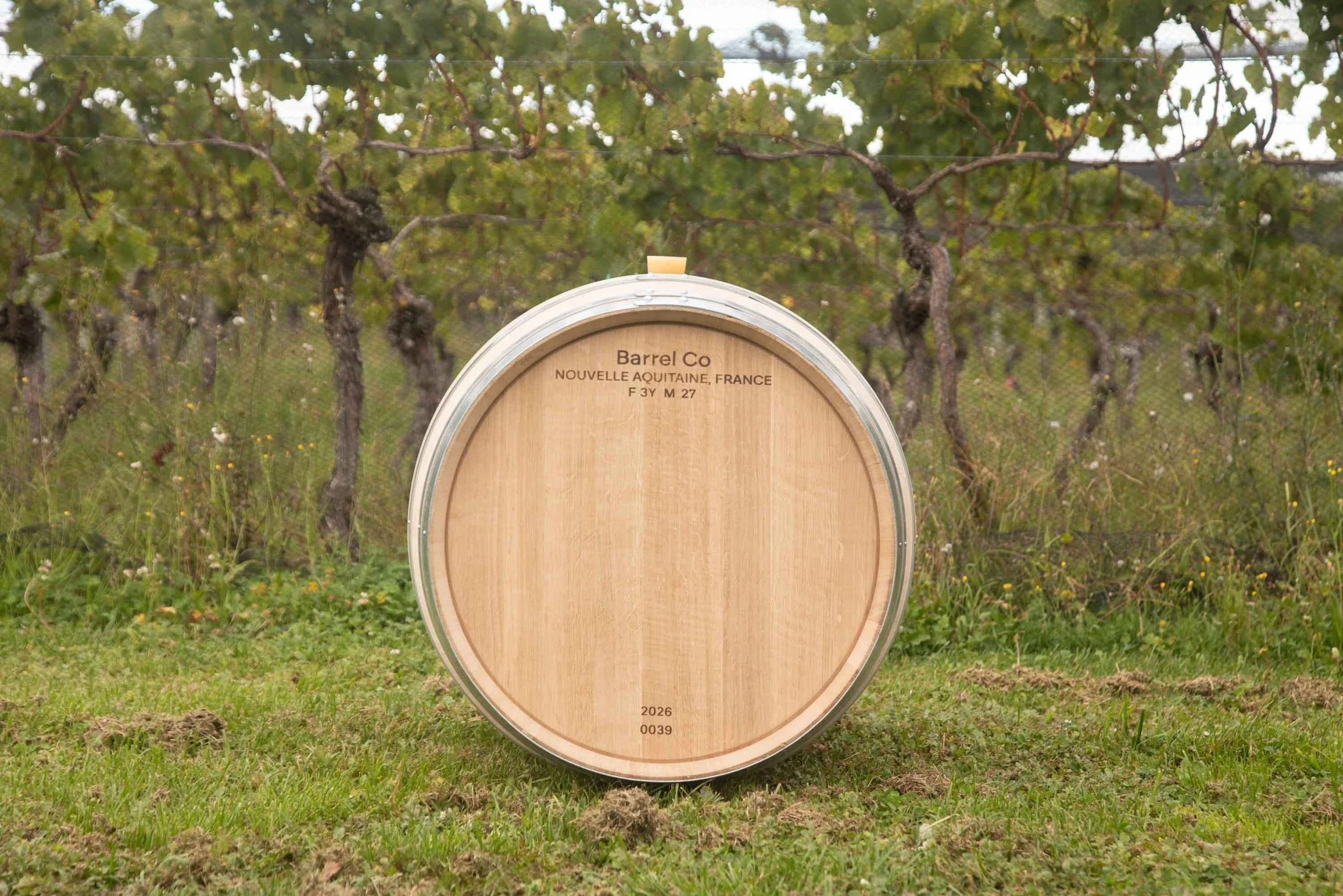 Barrel Co wine barrel sitting in vineyard