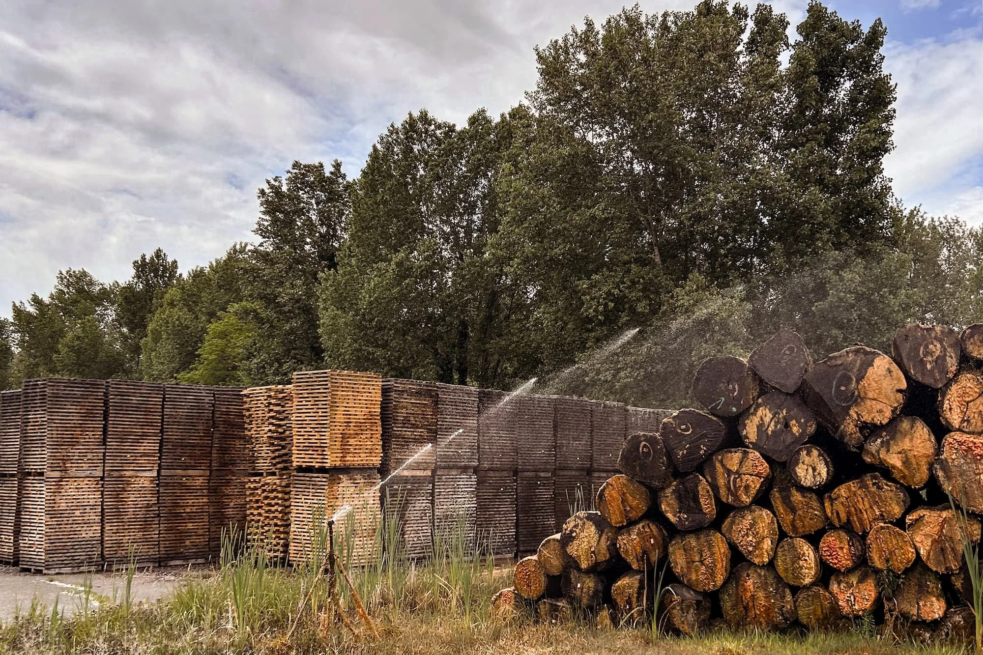 Oak Staves stacked for seasoning at Barrel Co's French Stave maker parter