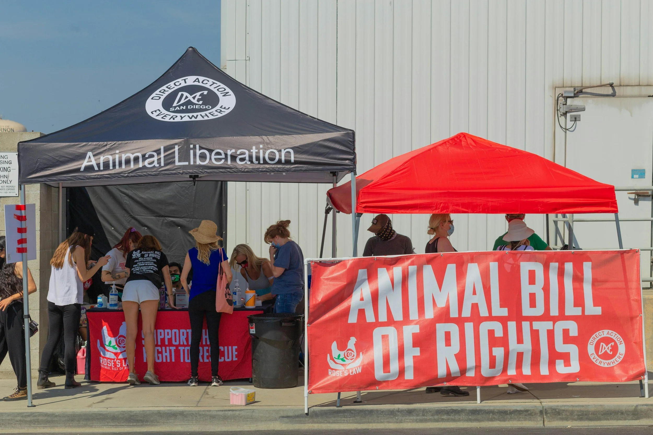 Animal Rights Tents