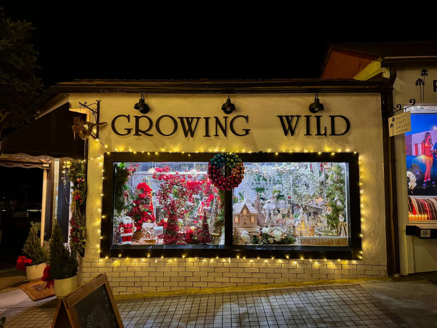 Decorated storefront with Christmas decorations and string lights