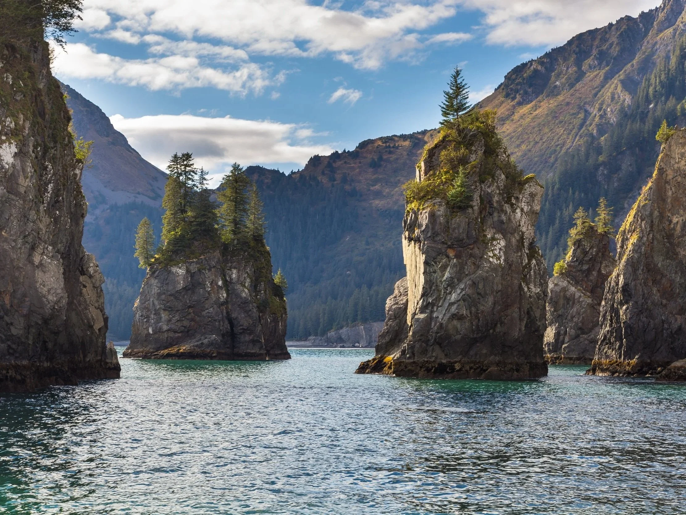 Tall-standing fjords topped with green trees surrounded by mountains