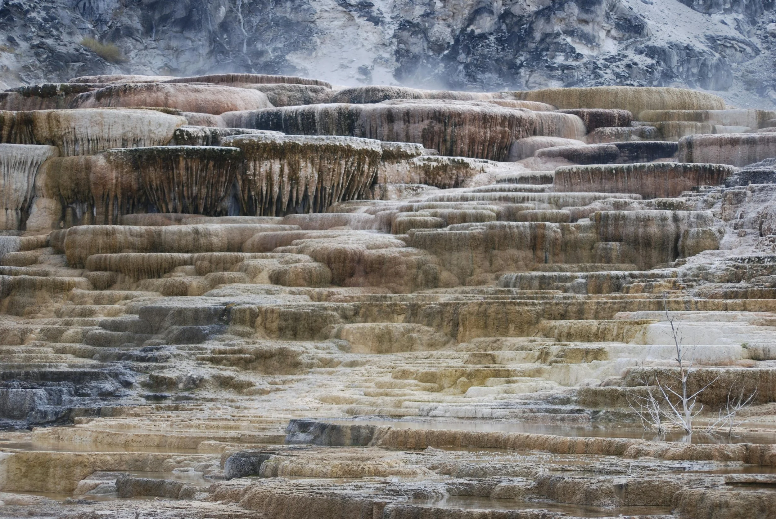Shelved pools of water creating Mammoth Hot Springs in Yellowstone National Park