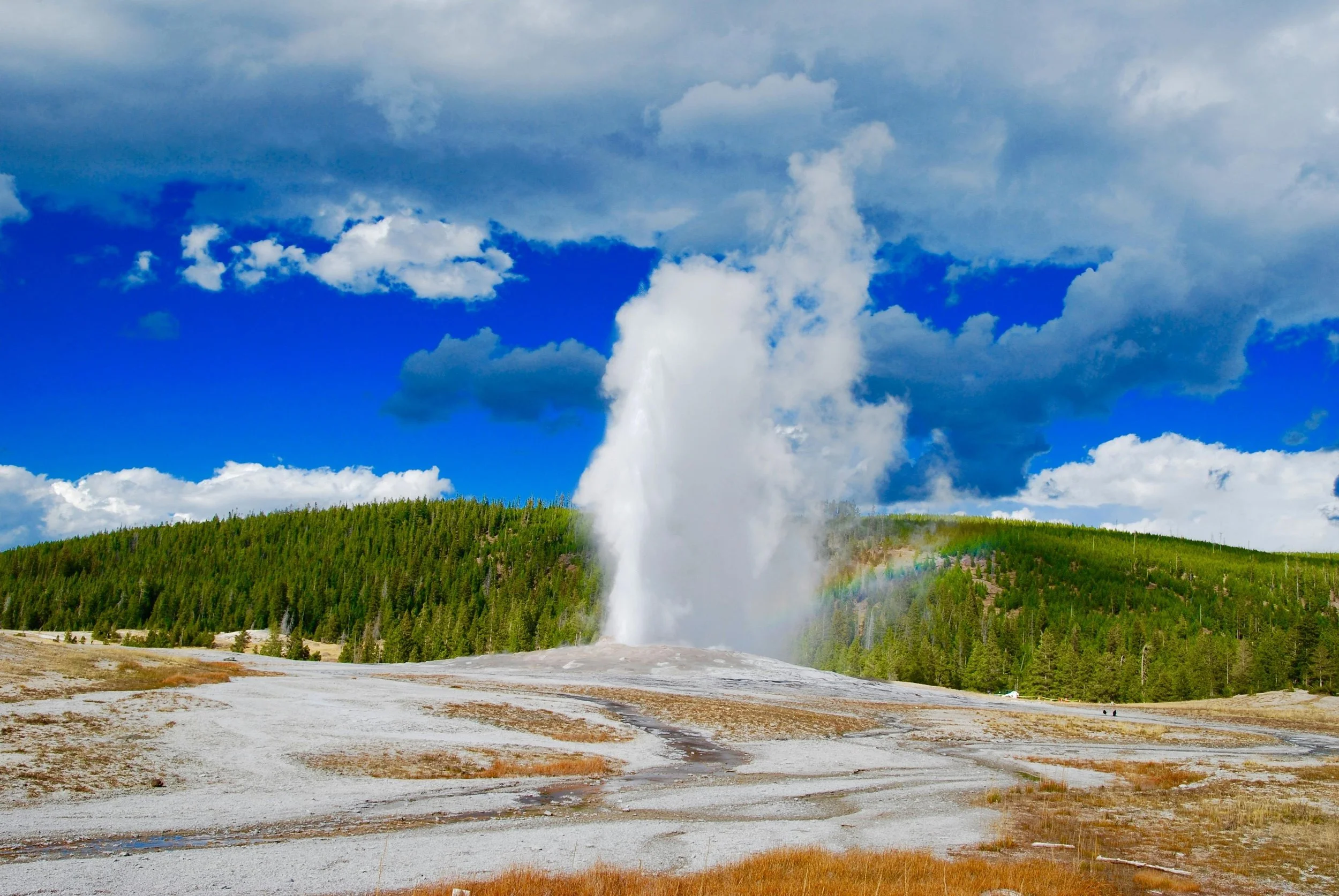 Geyser erupting at the forefront of tree-covered hills