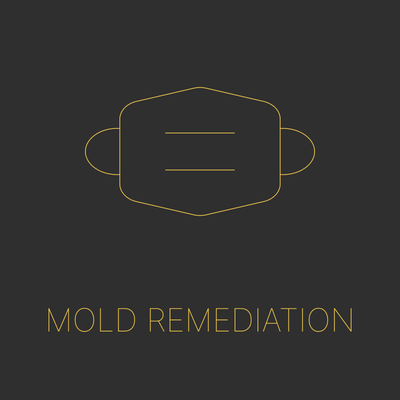 Mold Remediation – certified mold remediation in South Florida