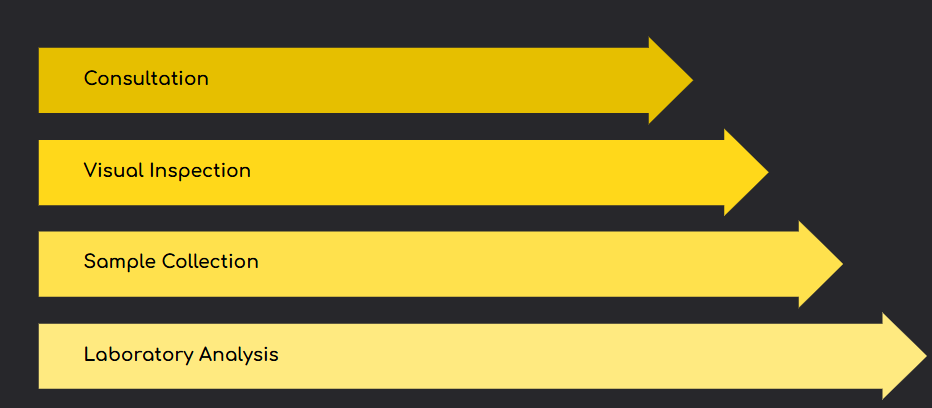 Mold testing process including assessment, sampling, laboratory analysis, and reporting