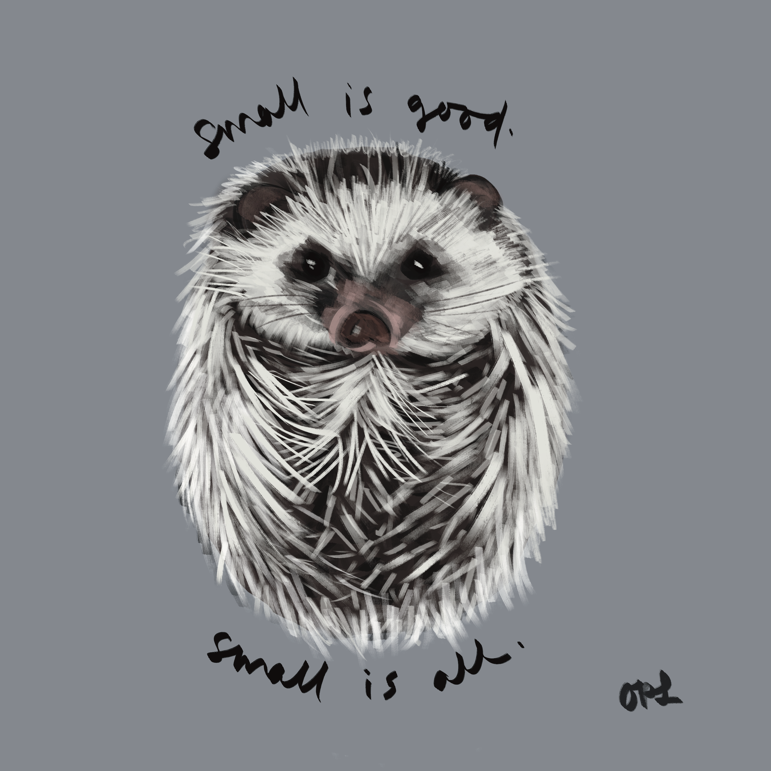 SpikeSmall.png