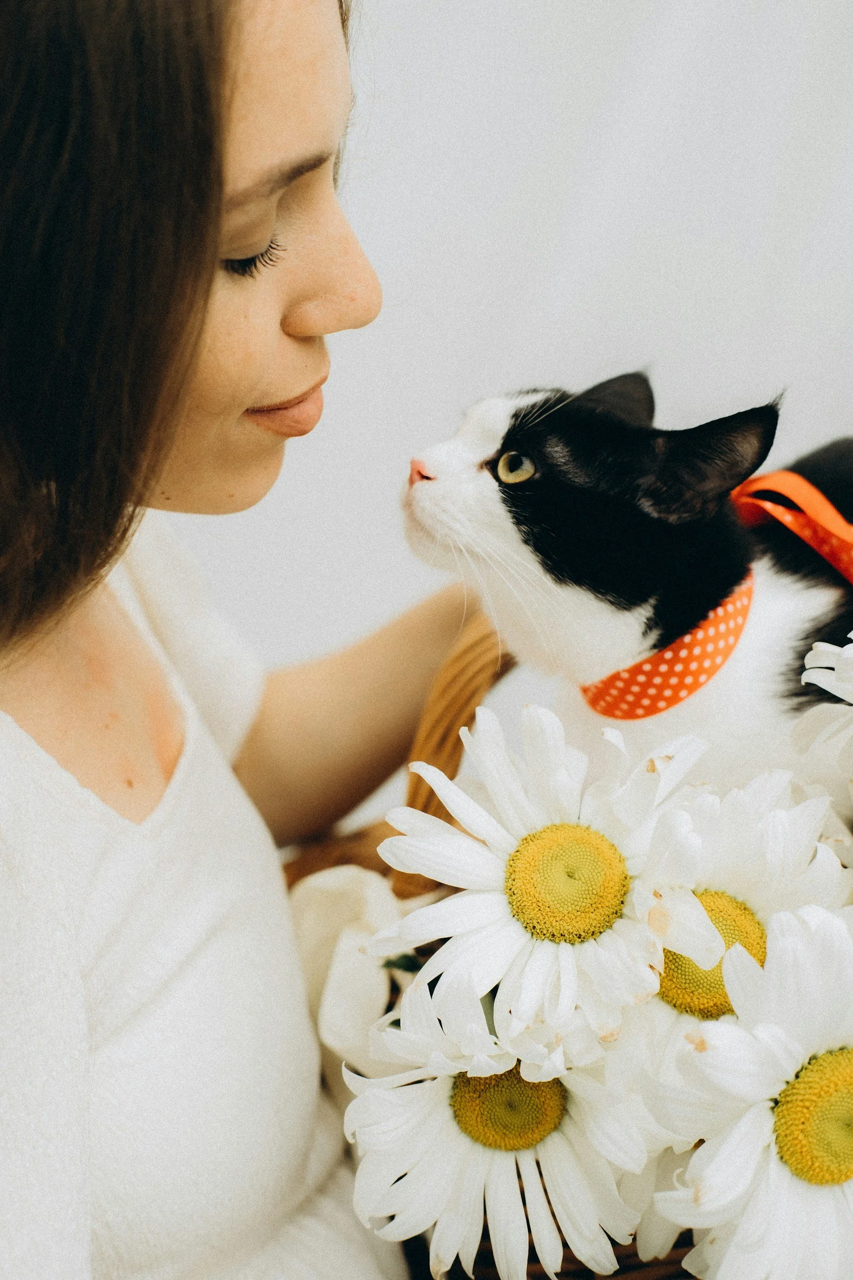woman and cat staring at each other lovingly