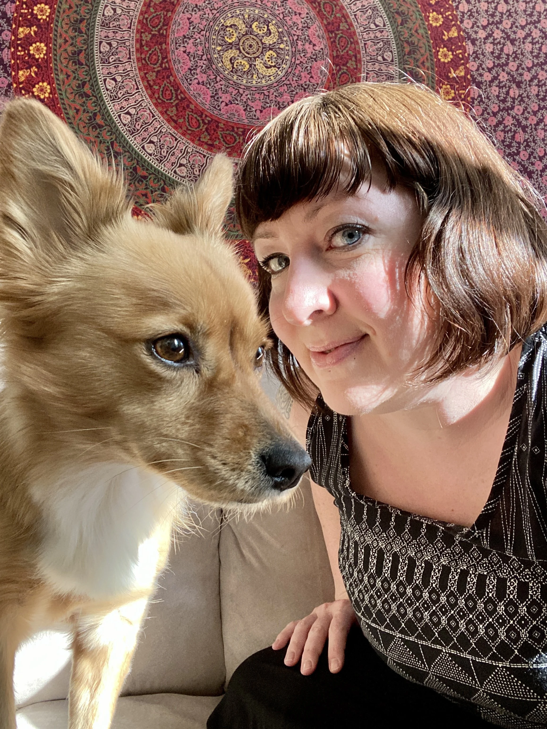 dog and woman looking toward each other