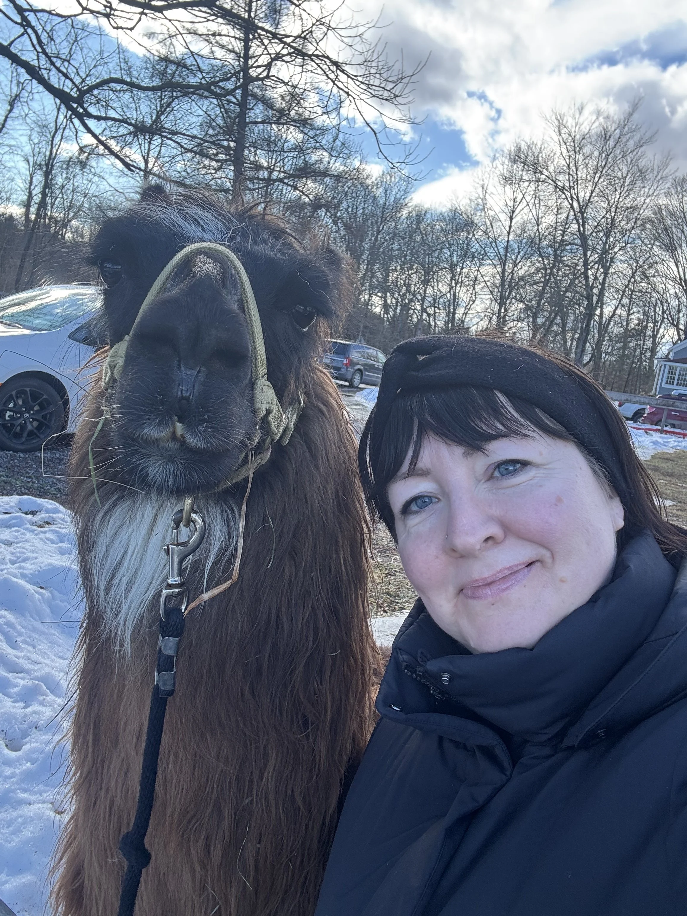 Close-up of woman in winter coat next to a llama