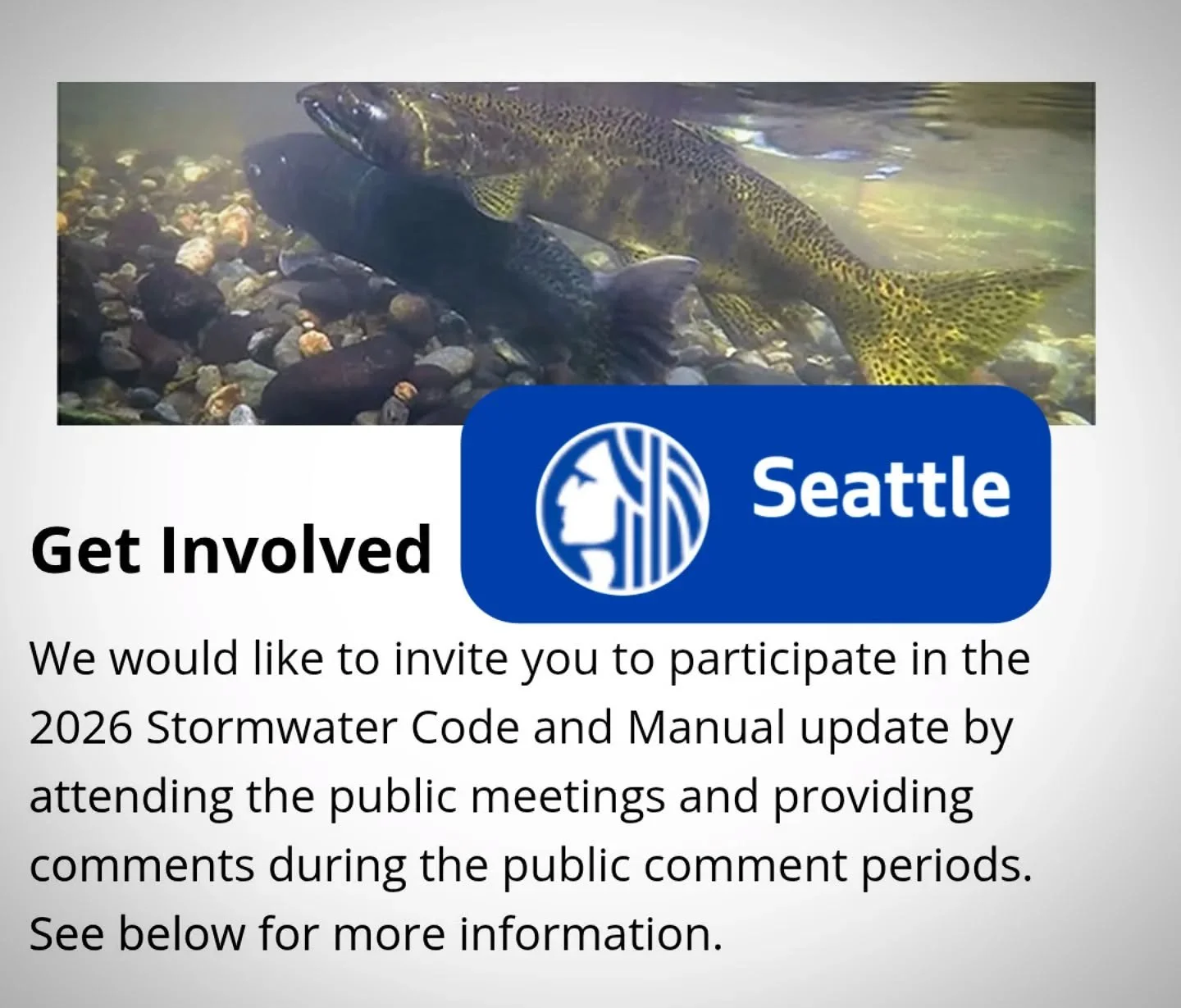 🚨🏞️ Seattle is hosting a listening session about the stormwater code! The critically endangered Southern Resident Killer Whales need you to speak up! What goes down our drains - on the streets and inside our homes - goes into their habitat. 🏊🏻&zw