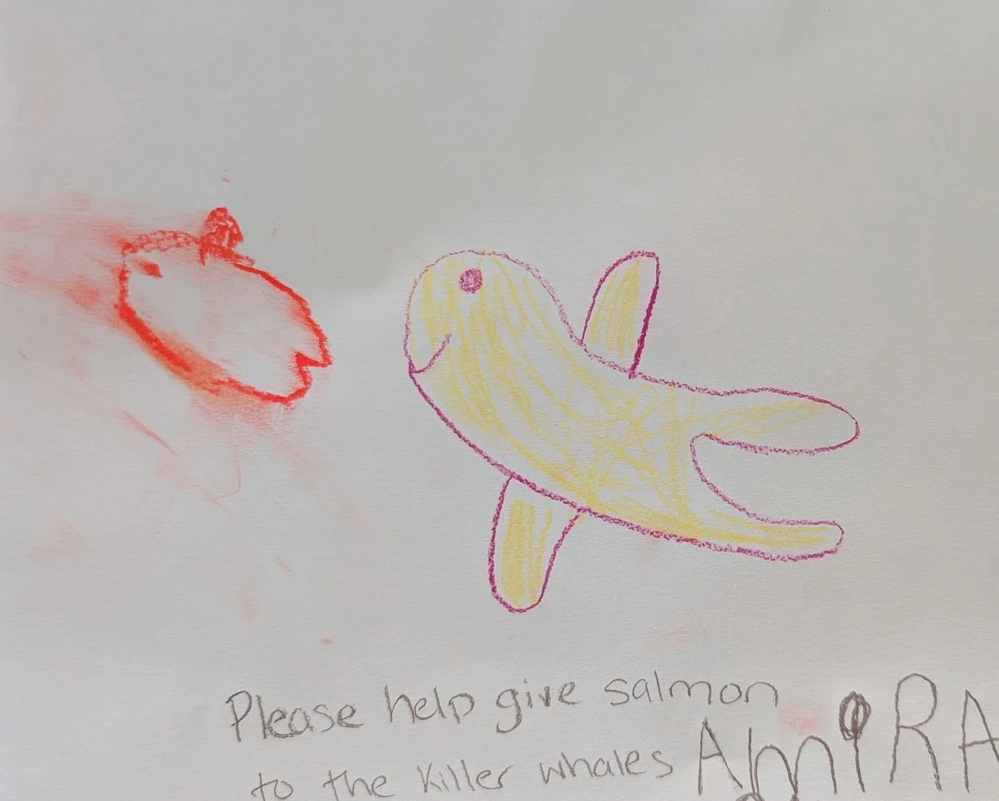 ❣️Love letters from children to the Southern Residents. Many thanks to @alyssonholt and @sustainableballard for the great event 🌊
Children don't need to read these updates from the @centerforwhaleresearch to know that we should be protecting our en