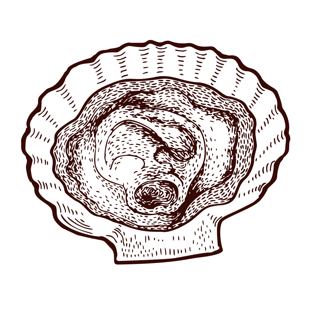 Illustration of a detailed octopus with extended tentacles on a black background.